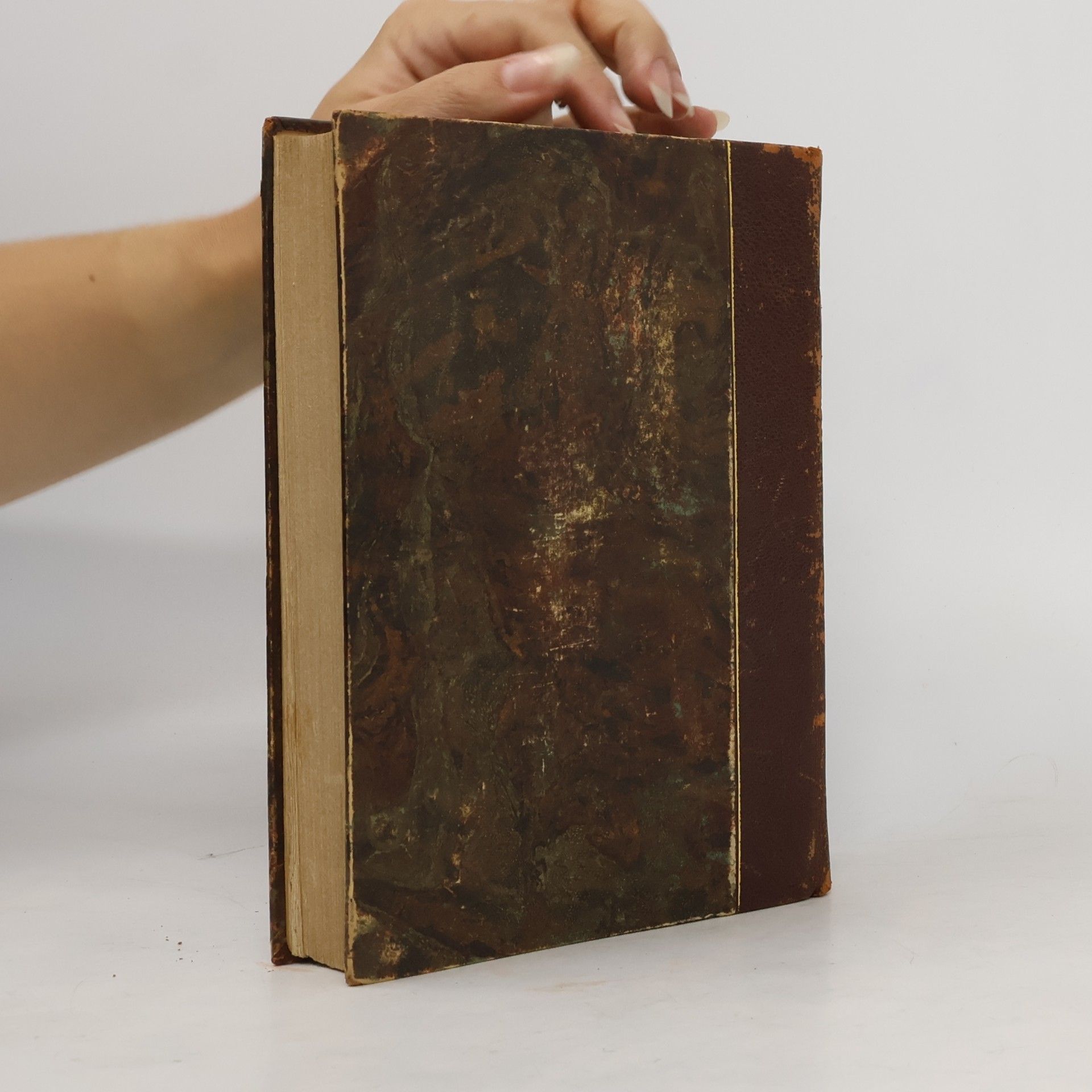 Michelagniolo Buonarroti Dichtungen
