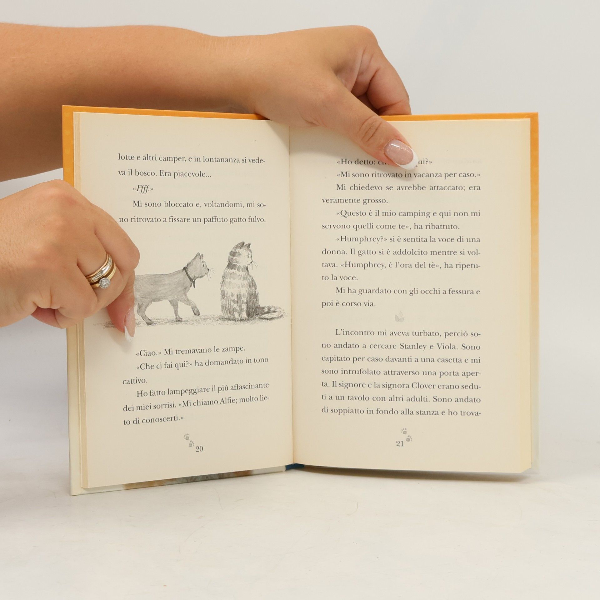 Rachel Wells Narratori moderni: Alfie va in vacanza