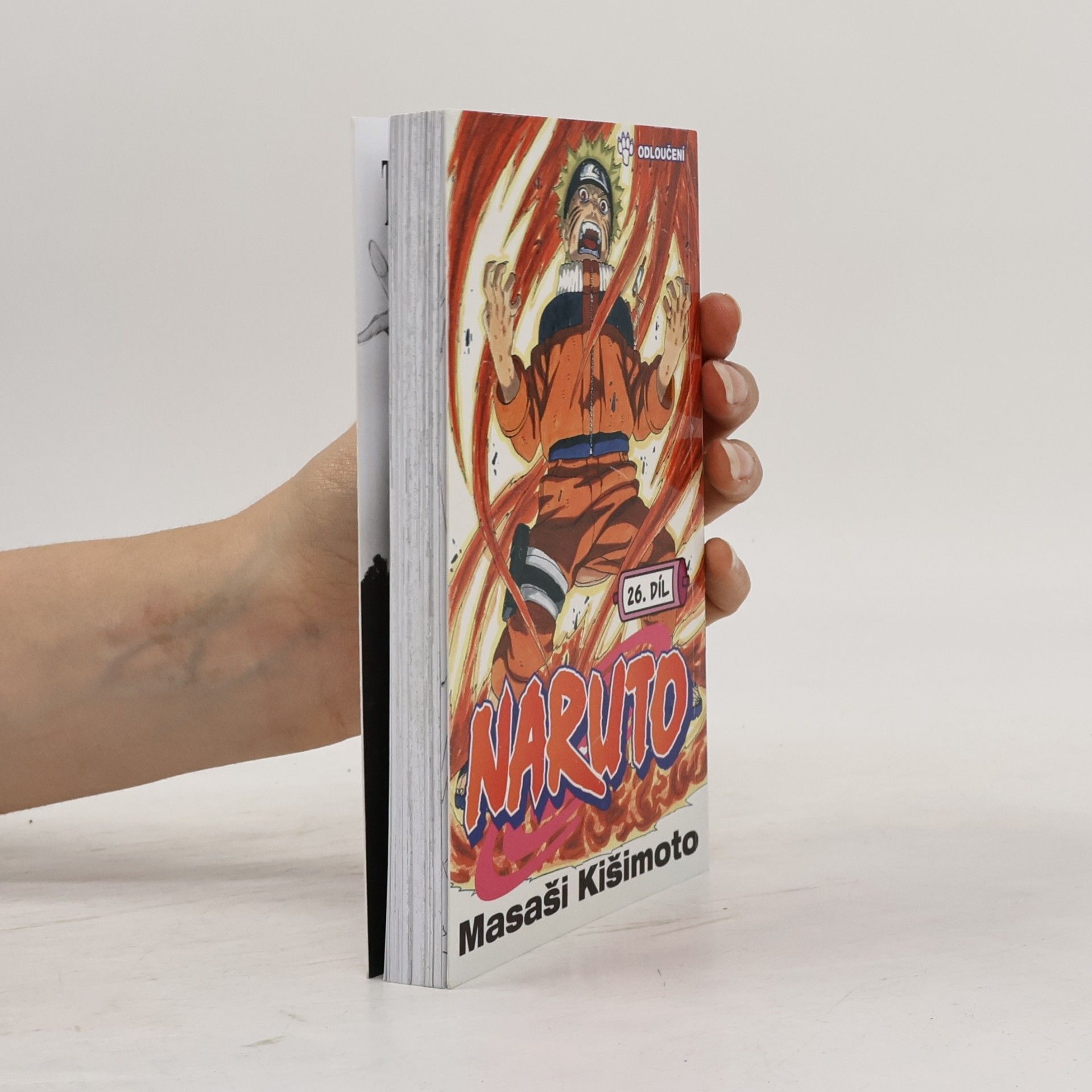 Masaši Kišimoto Naruto. 26. díl, Odloučení