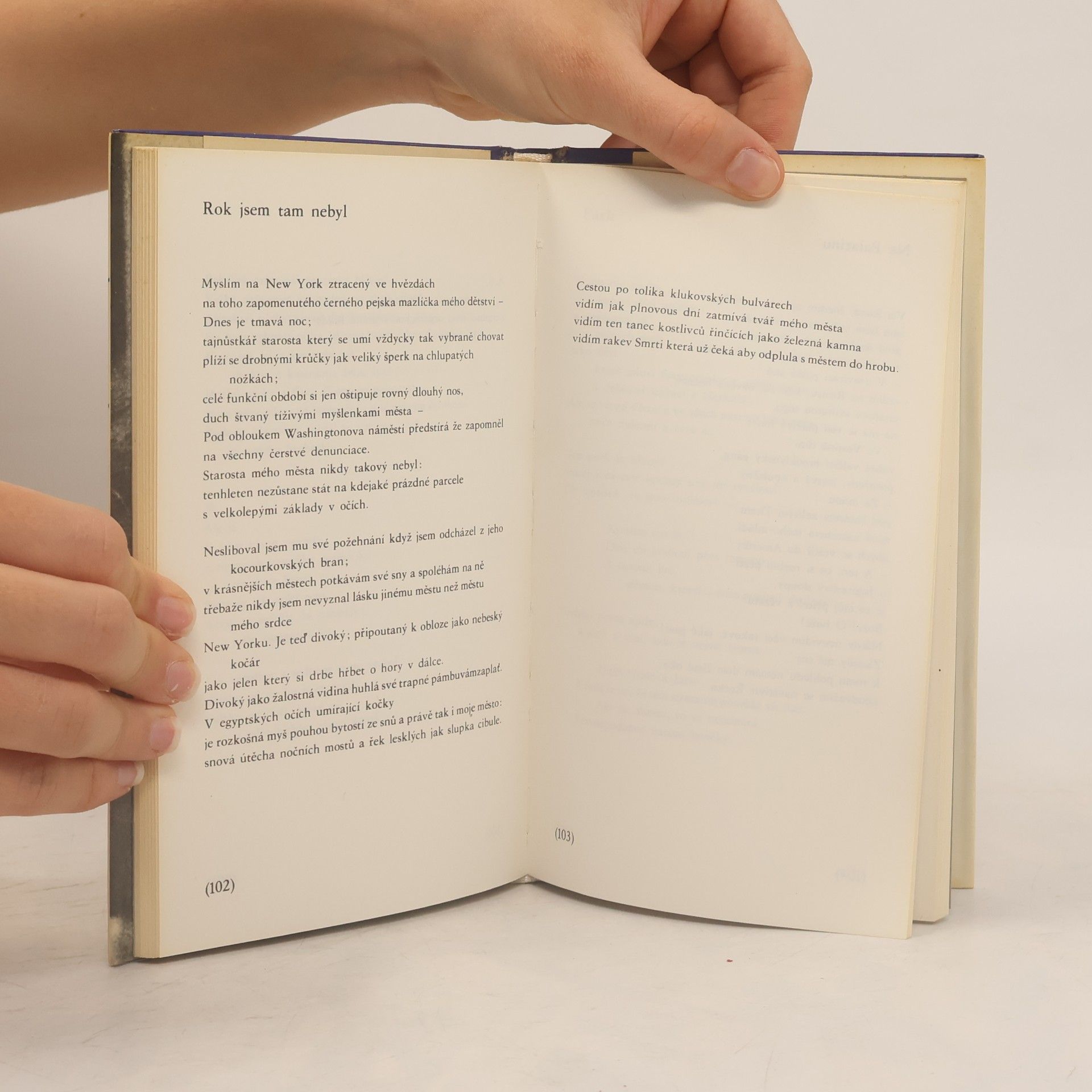 Gregory Corso Mokré moře