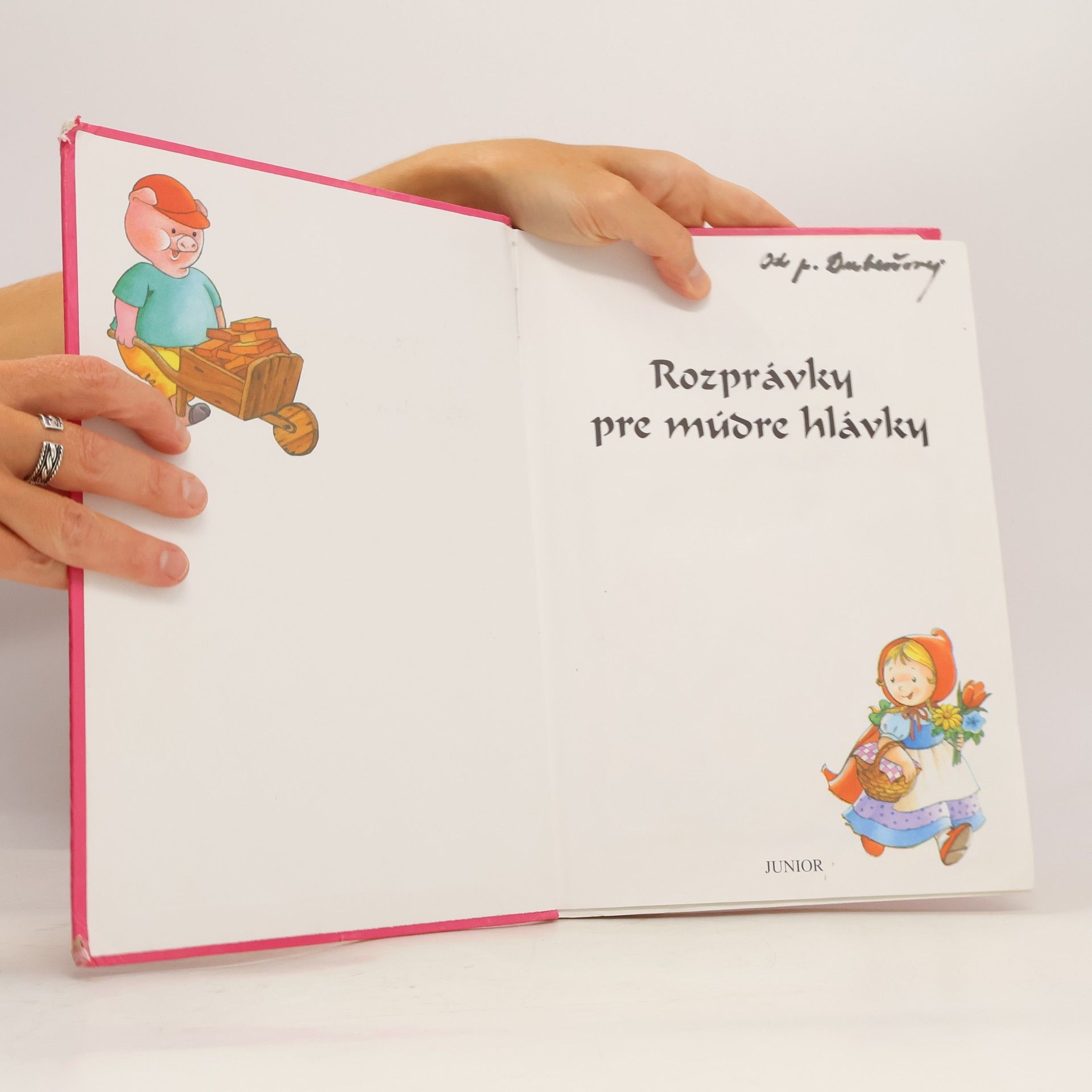 Autorenkollektiv Rozprávky pre múdre hlávky