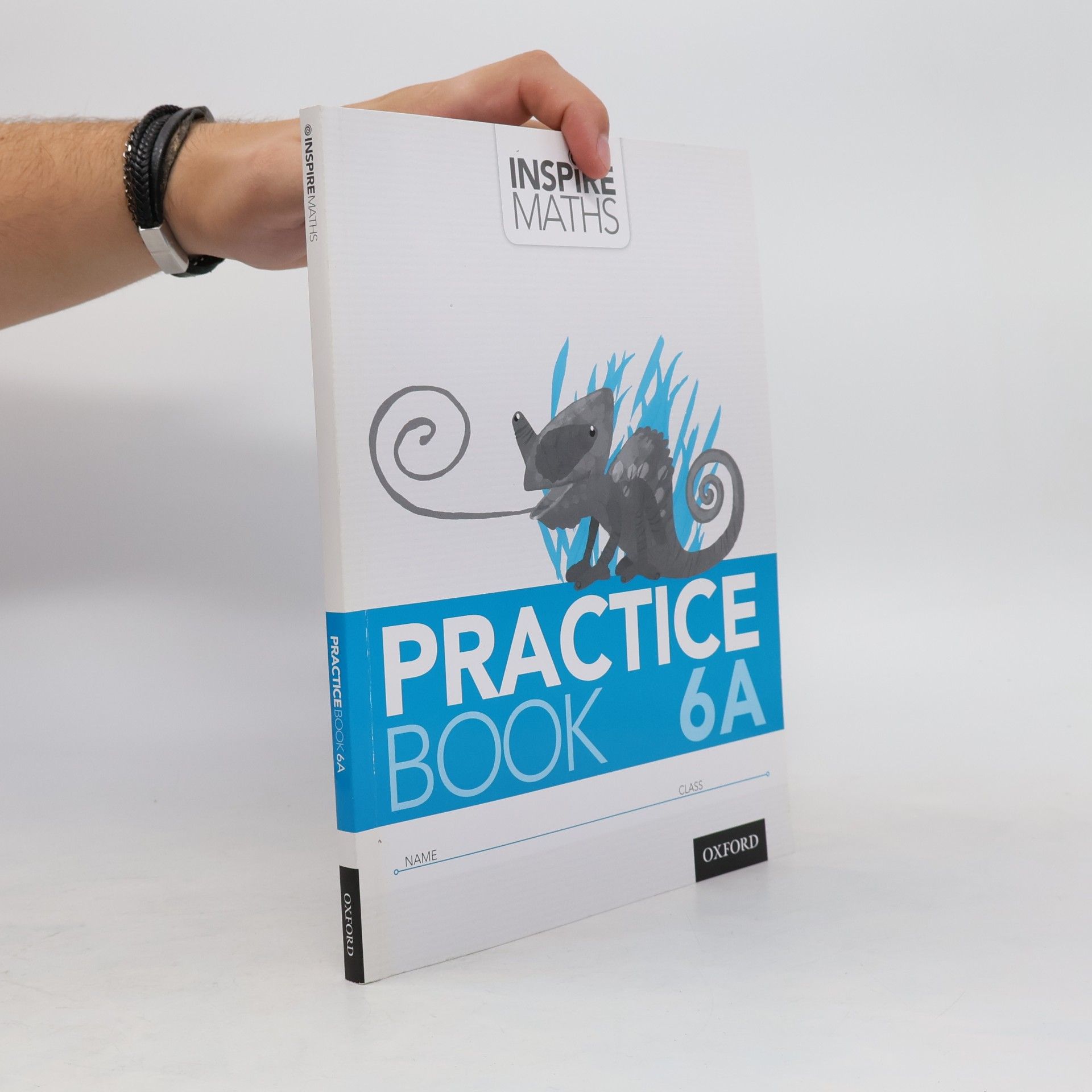 Autorenkollektiv Inspire Maths - 6A: Practice Book