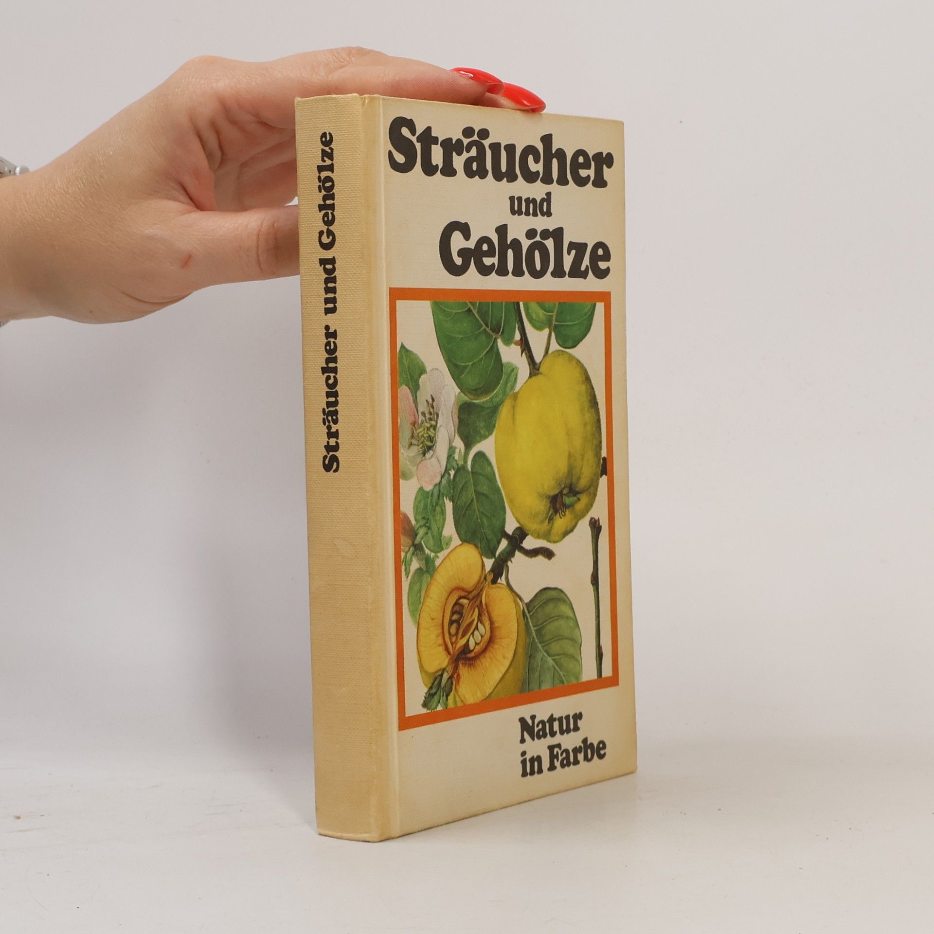 J. Pokorný Sträucher und Gehölze