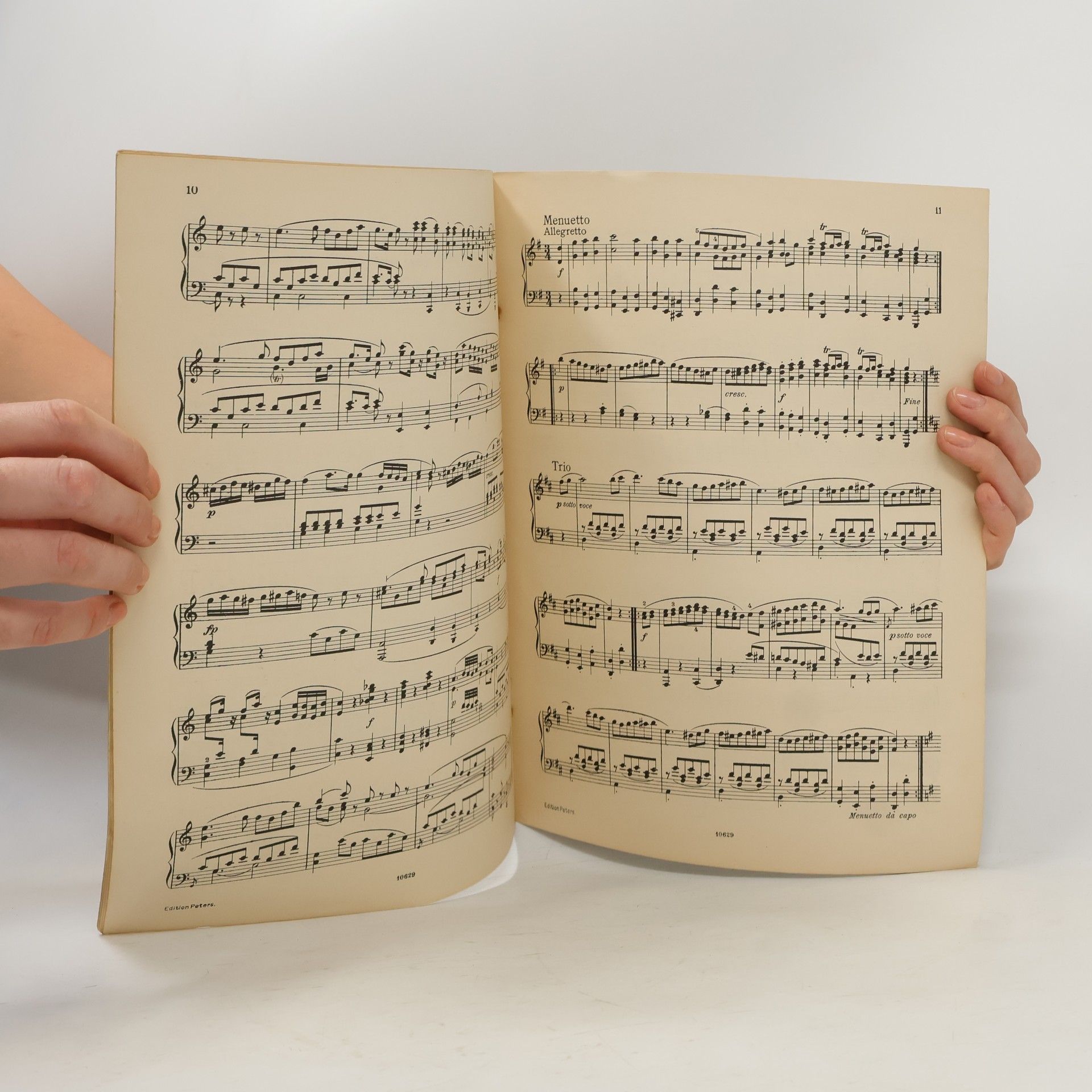 Auteurscollectief Mozart. Eine kleine Nachtmusik