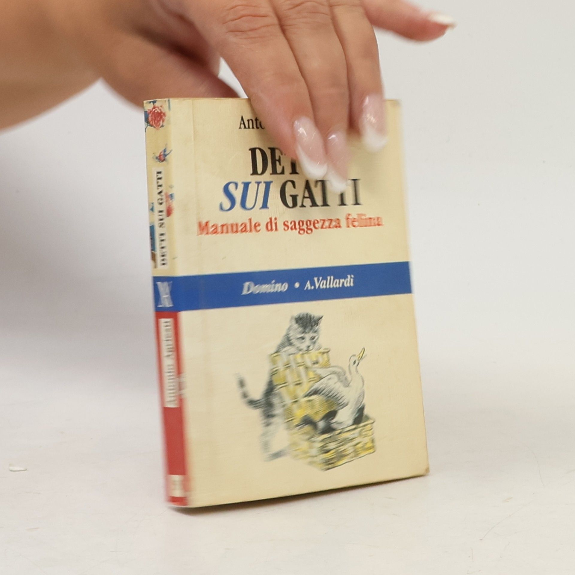 Antonio Agriesti Detti sui gatti