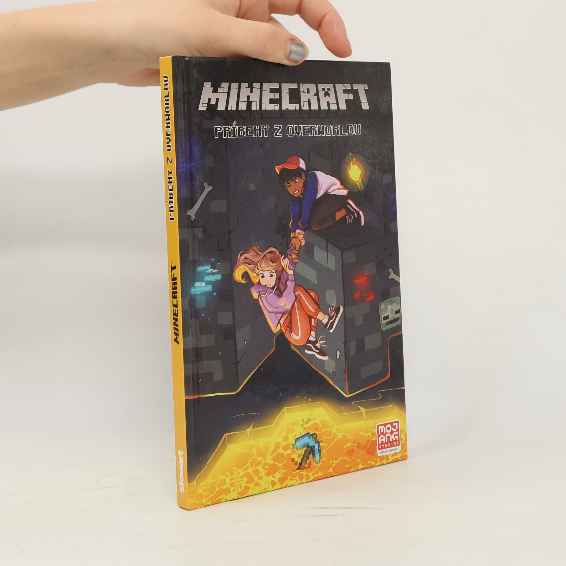 Ian Flynn Minecraft: Príbehy z Overworldu