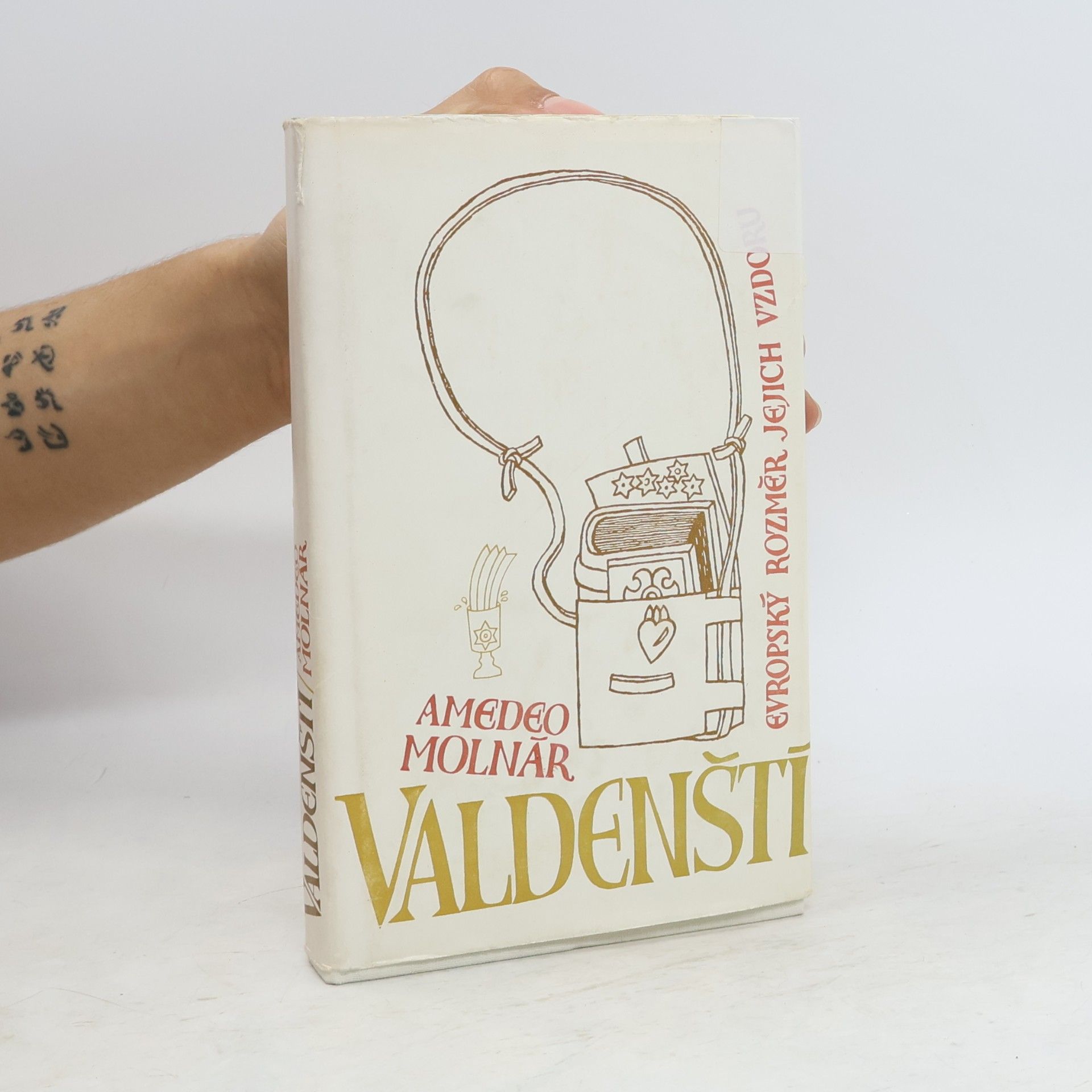 Amedeo Molnár Valdenští. Evropský rozměr jejich vzdoru