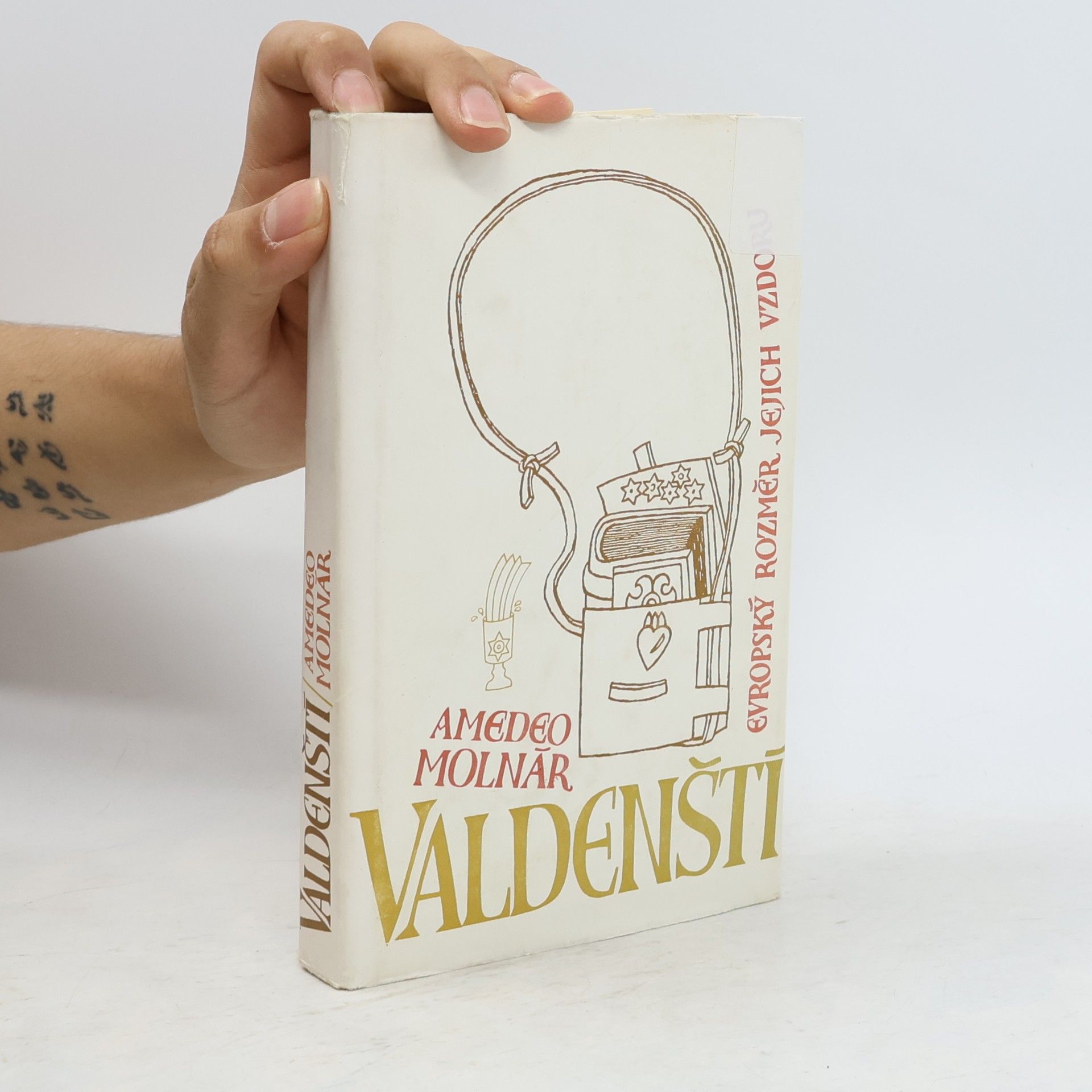 Amedeo Molnár Valdenští. Evropský rozměr jejich vzdoru
