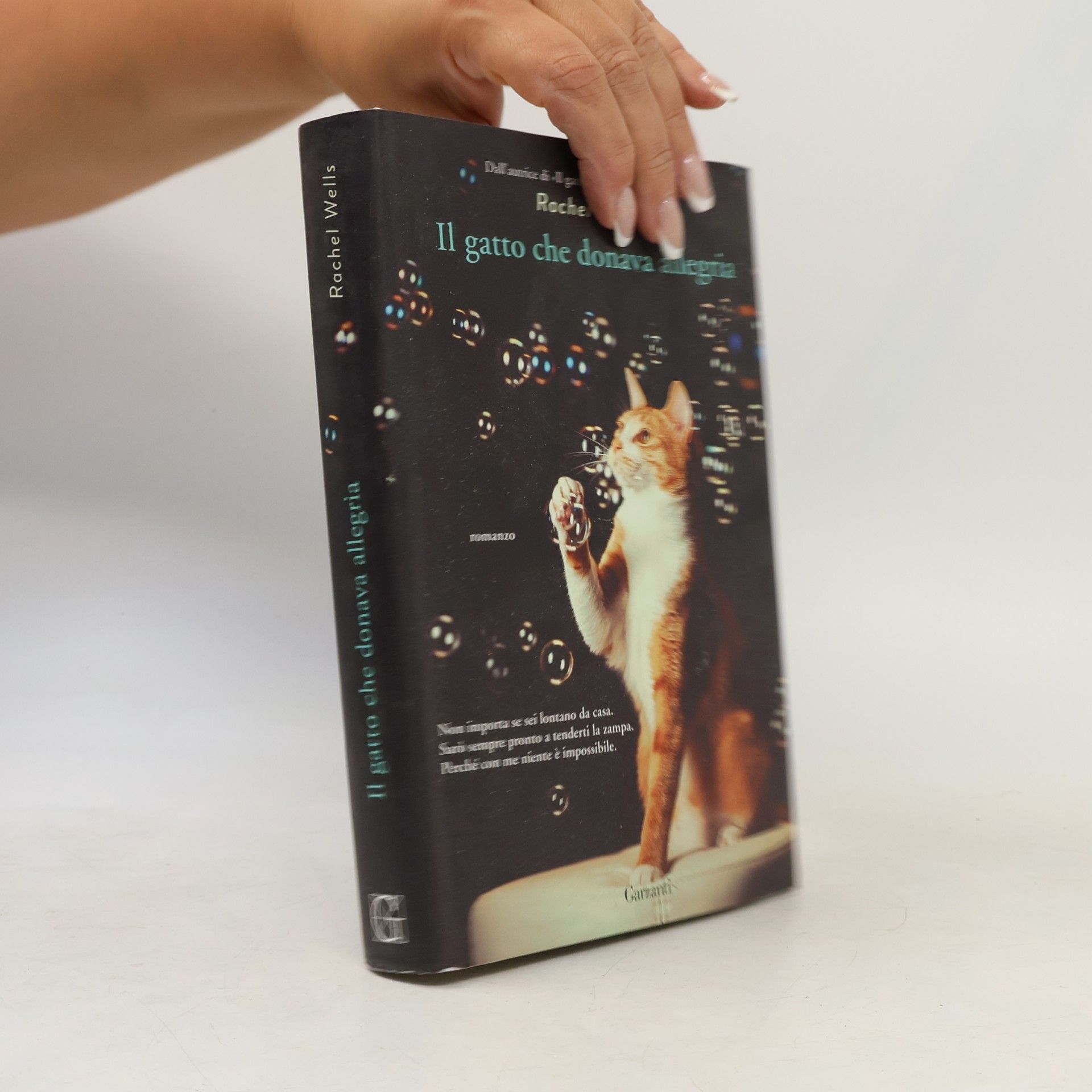 Rachel Wells Il gatto che donava allegria
