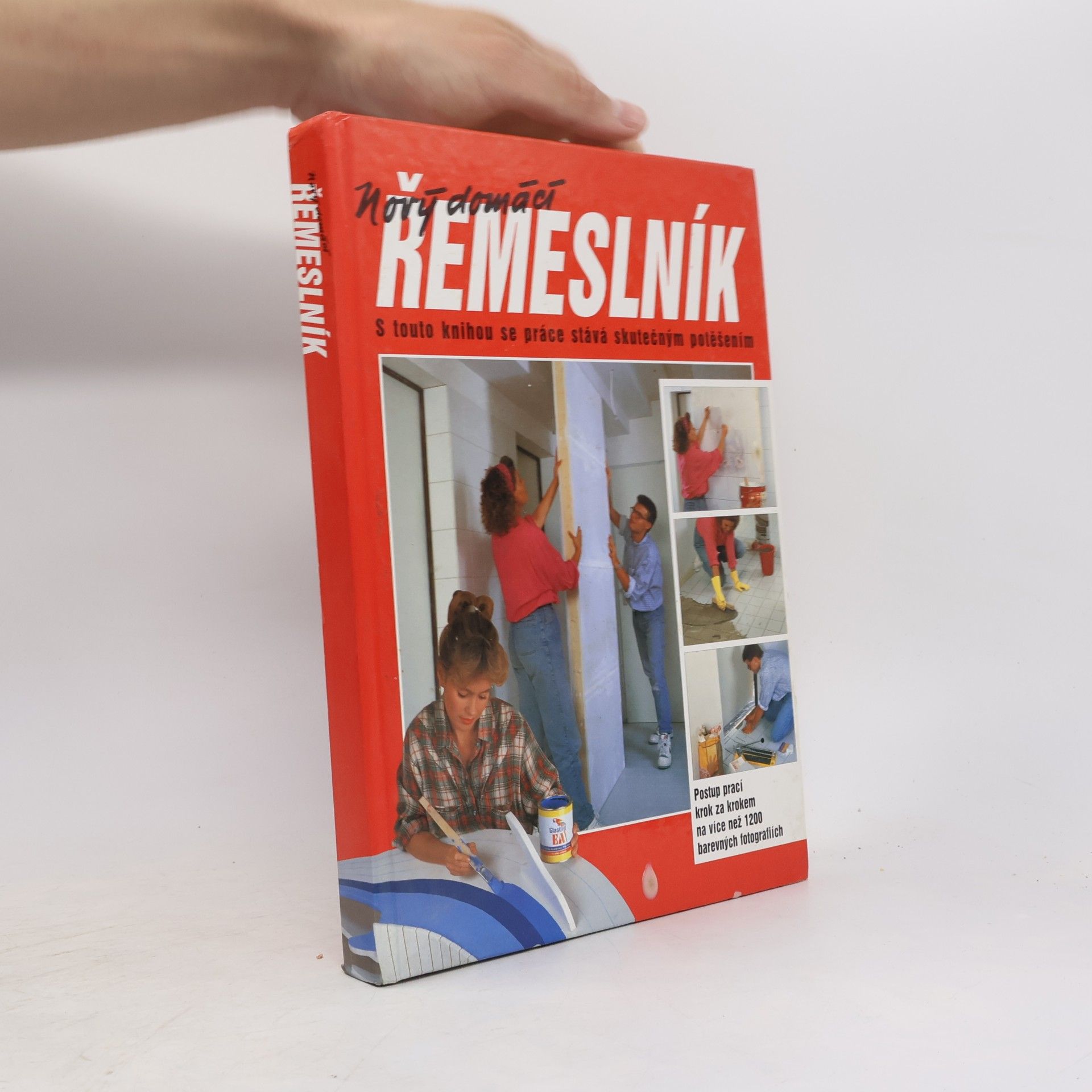 Dieter Rex Nový domácí řemeslník