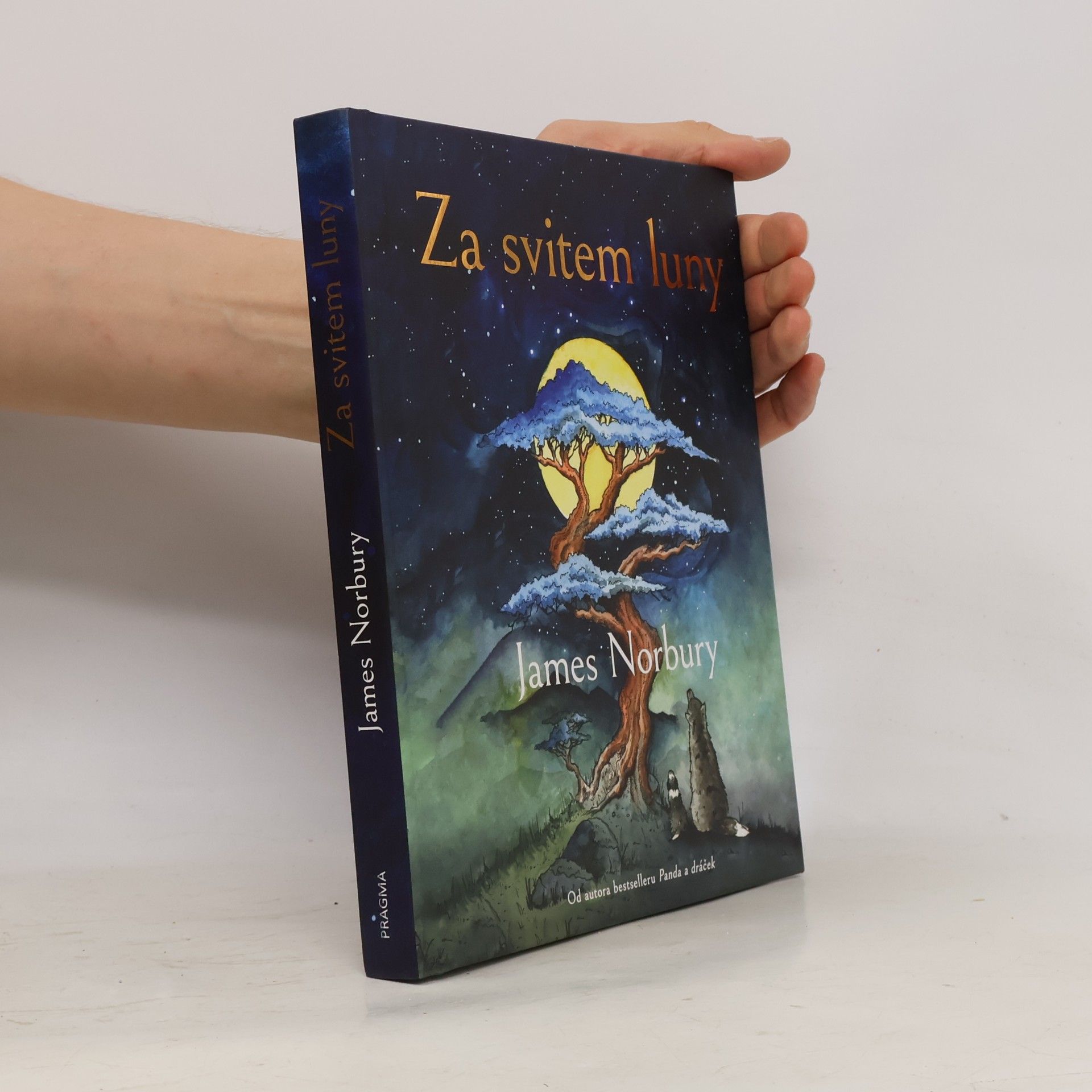 James Norbury Za svitem luny