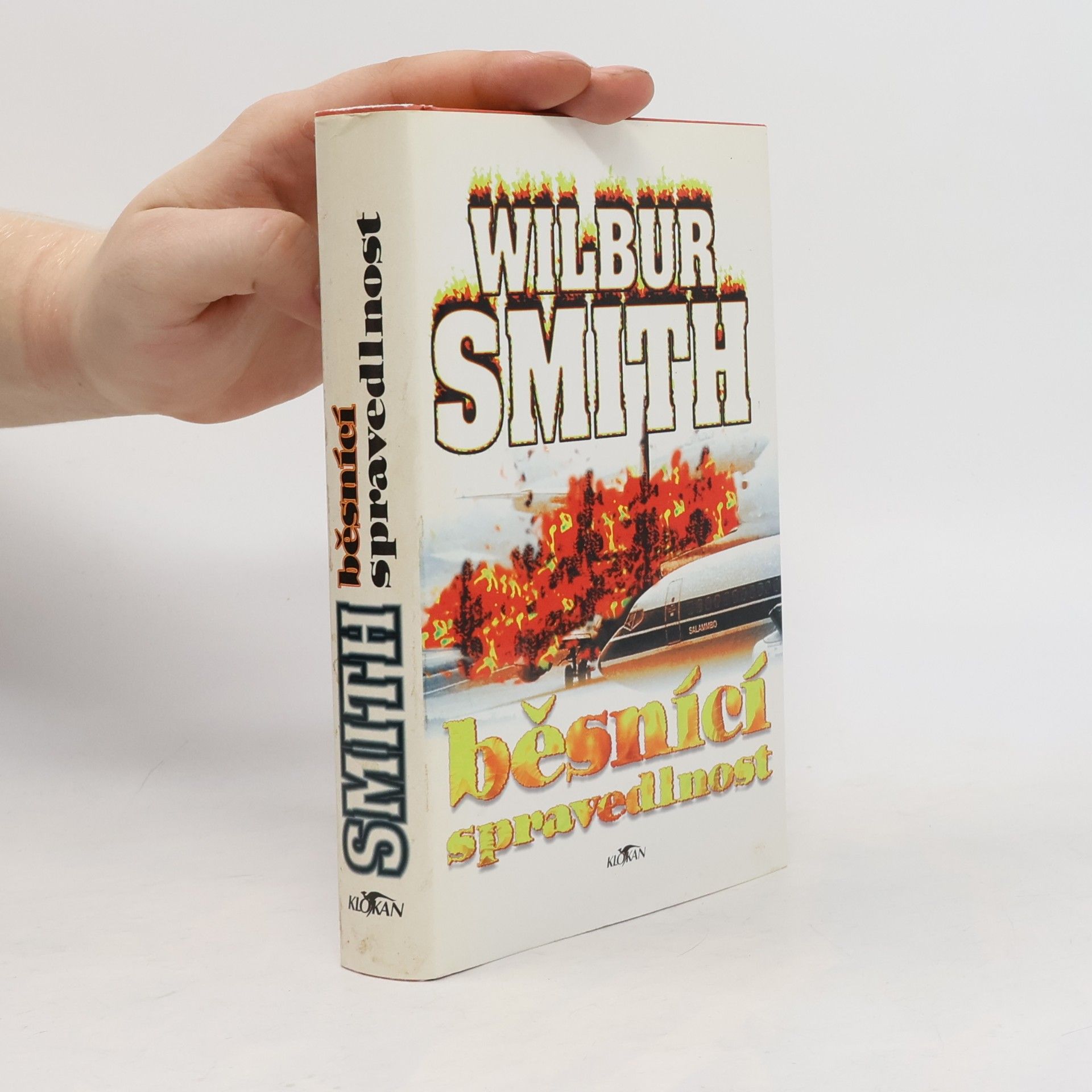 Wilbur Smith Běsnící spravedlnost