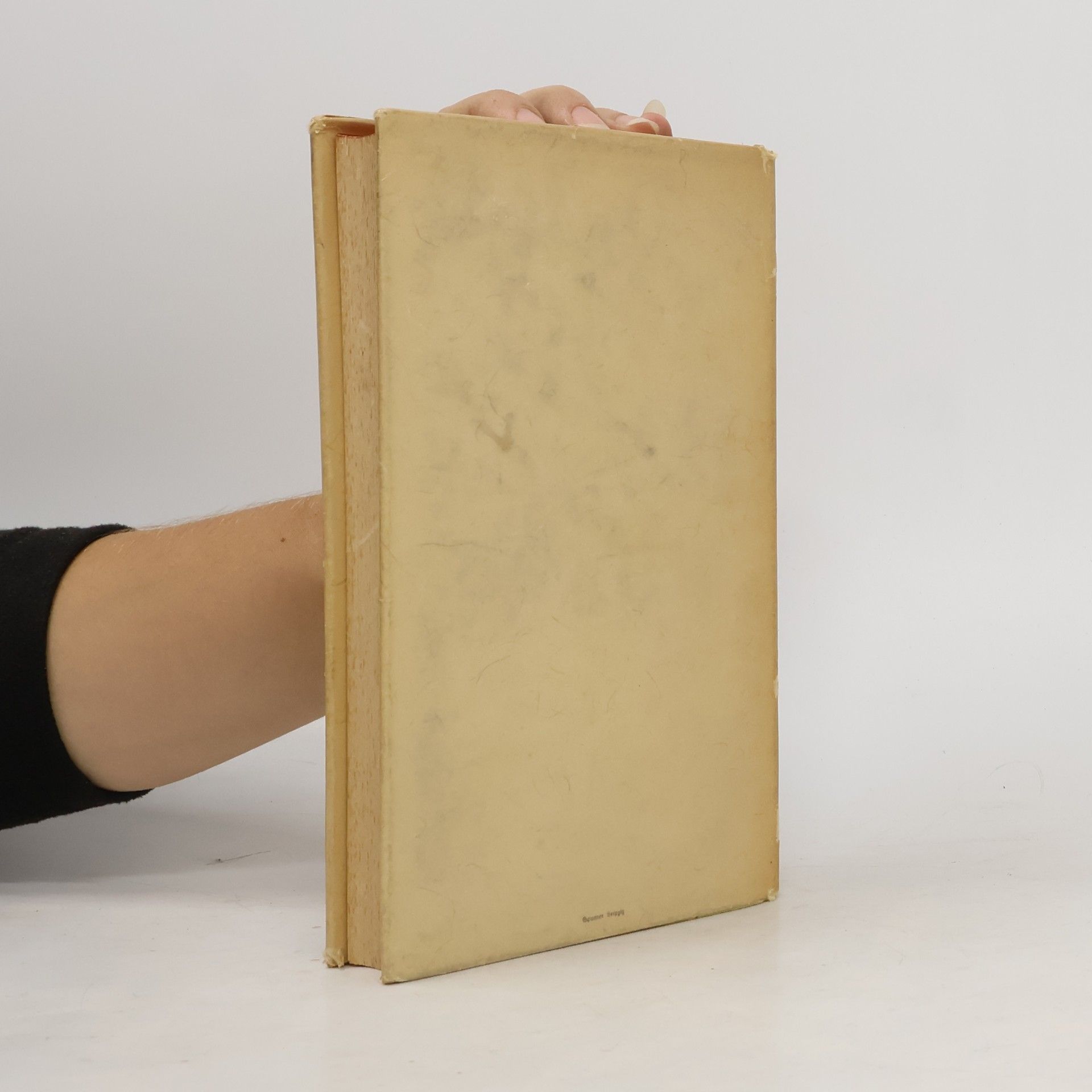 Martin Löpelmann Simmel und Sölle der Fahrenden