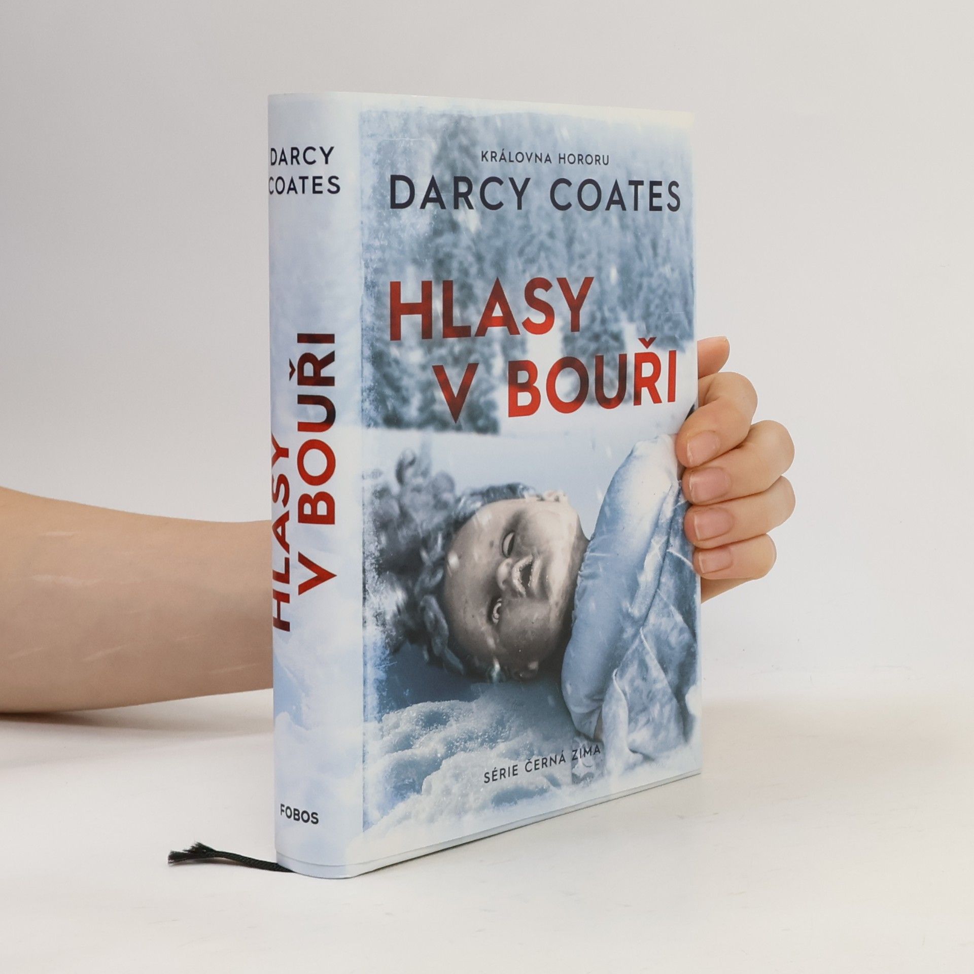 Darcy Coates Hlasy v bouři