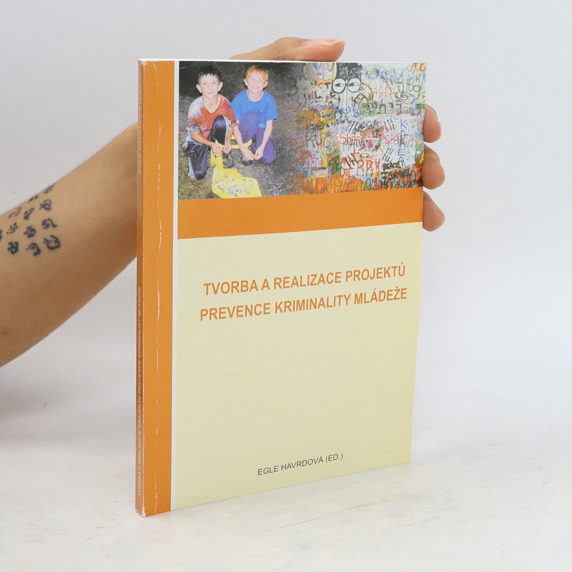 Tvorba a realizace projektů prevence kriminality mládeže