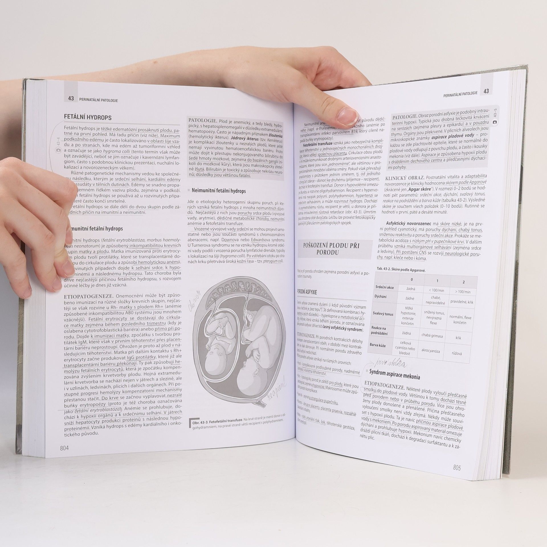 Kolektiv autorů Patologie 1-3