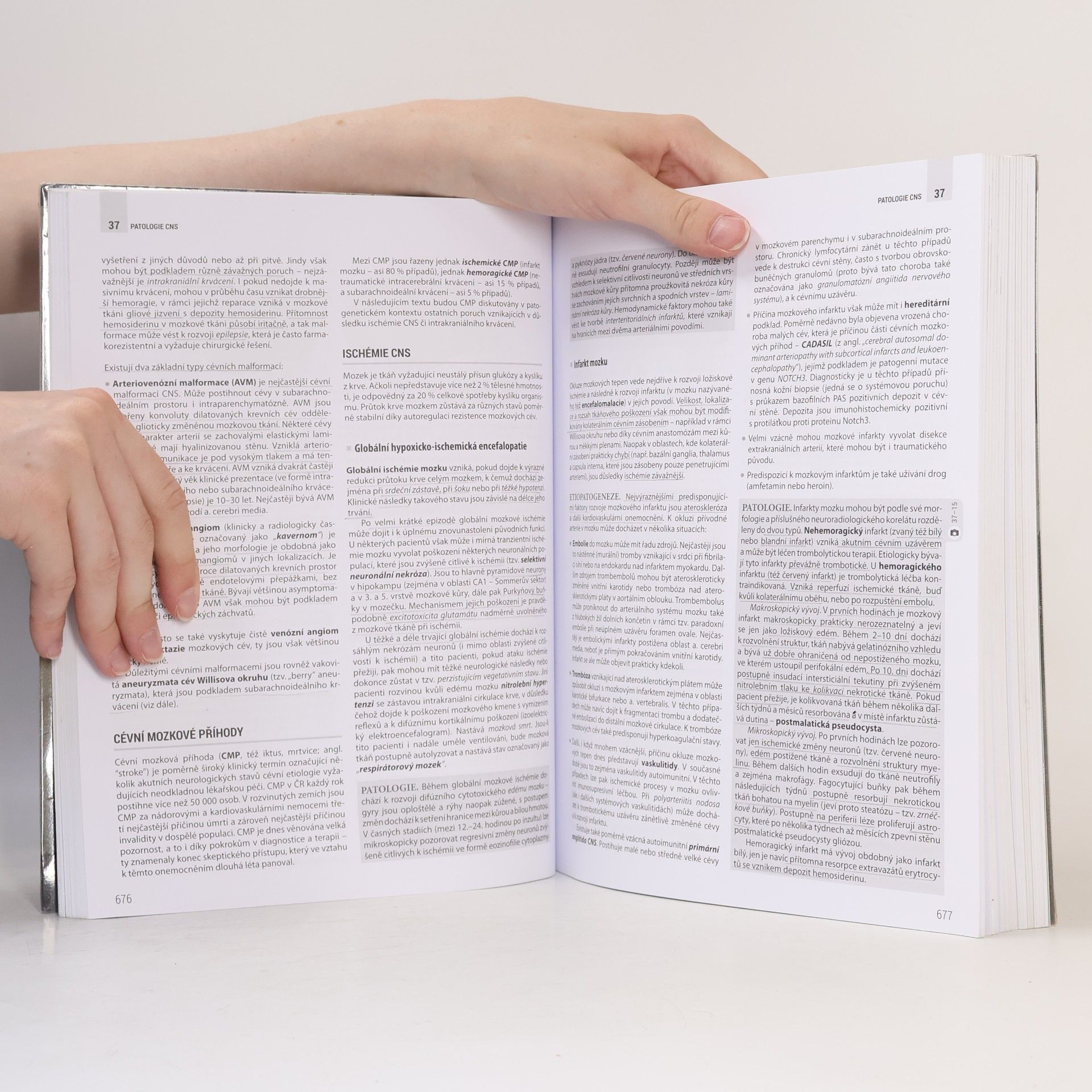 Kolektiv autorů Patologie 1-3