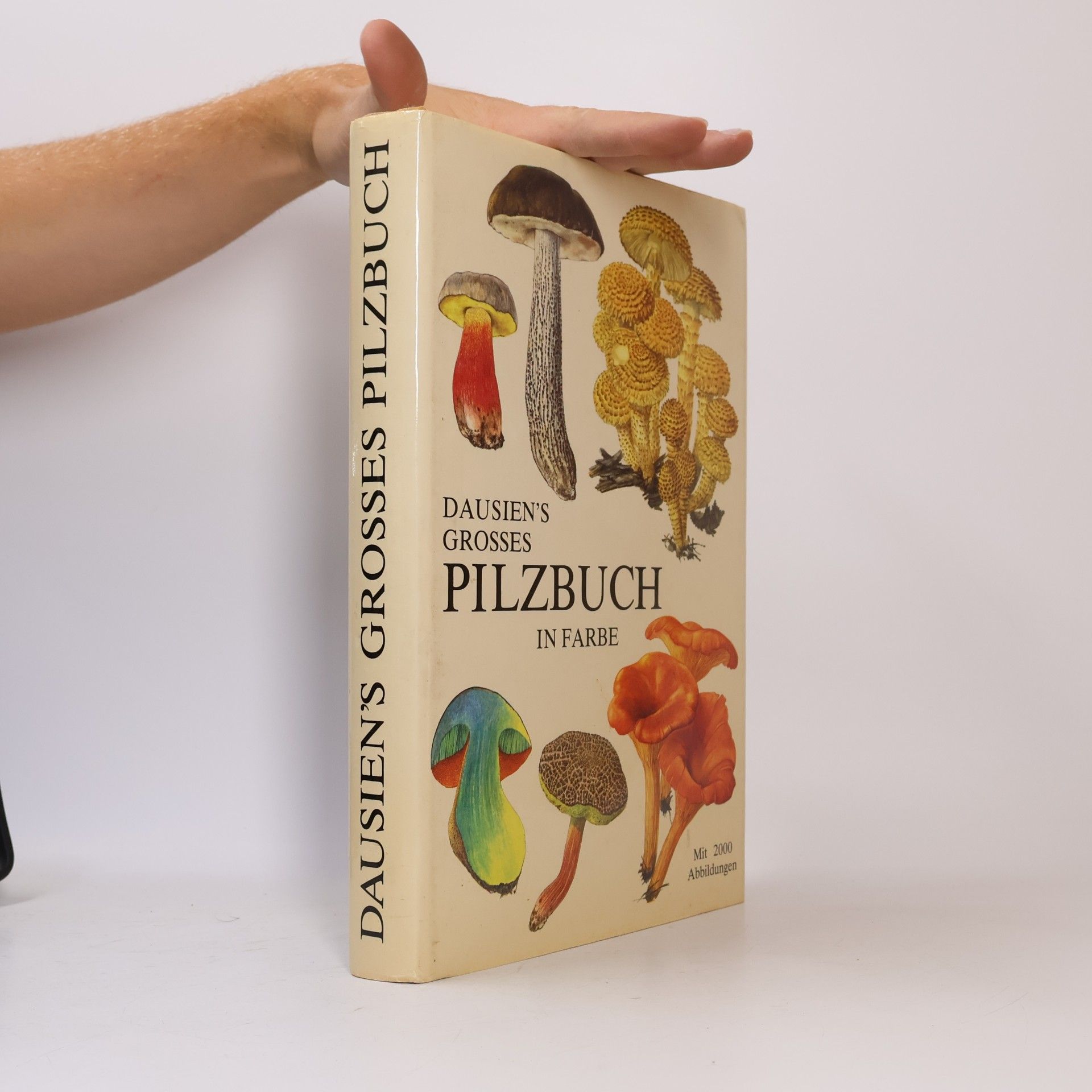 Dausien's grosses Pilzbuch in Farbe