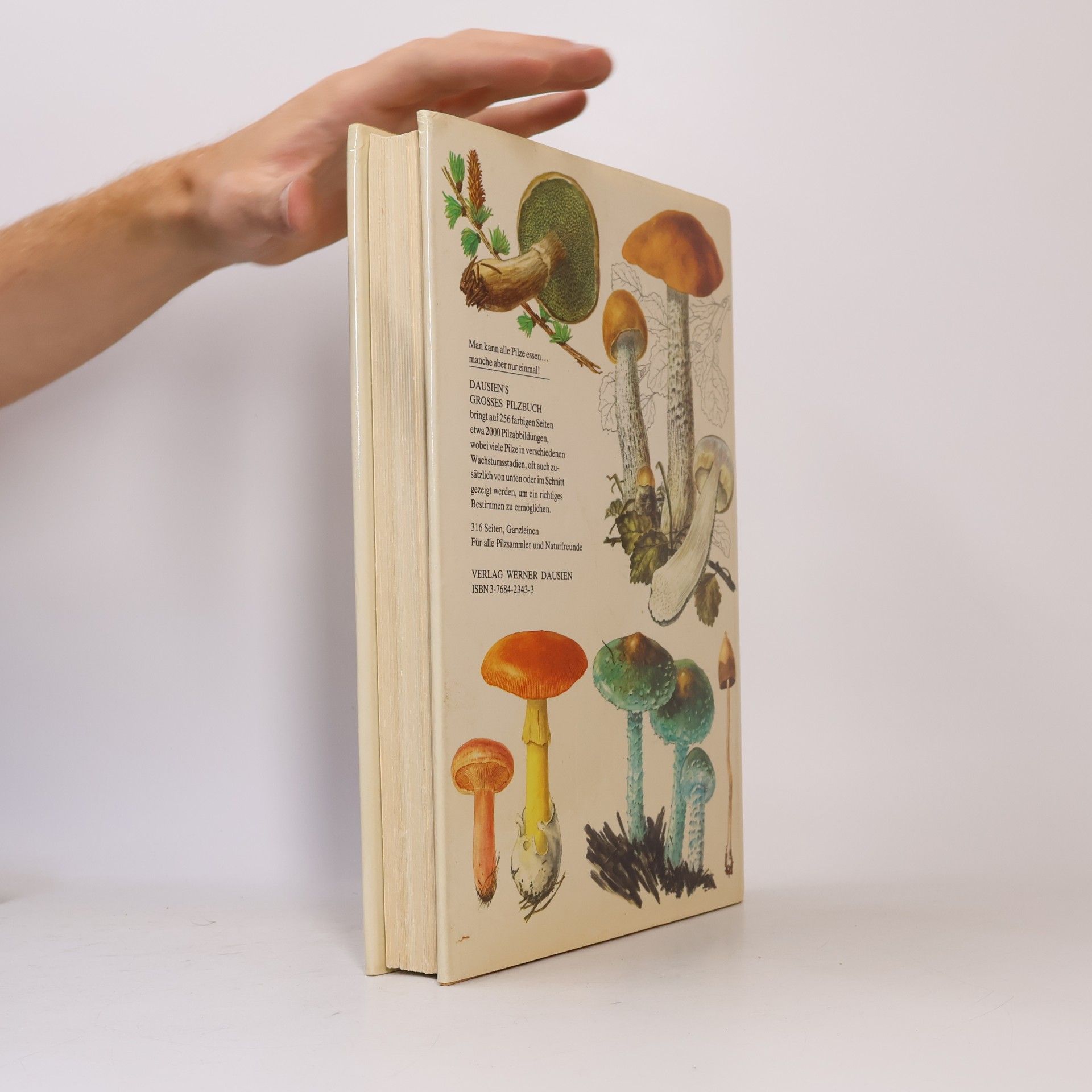Mirko Svrček Dausien's grosses Pilzbuch in Farbe