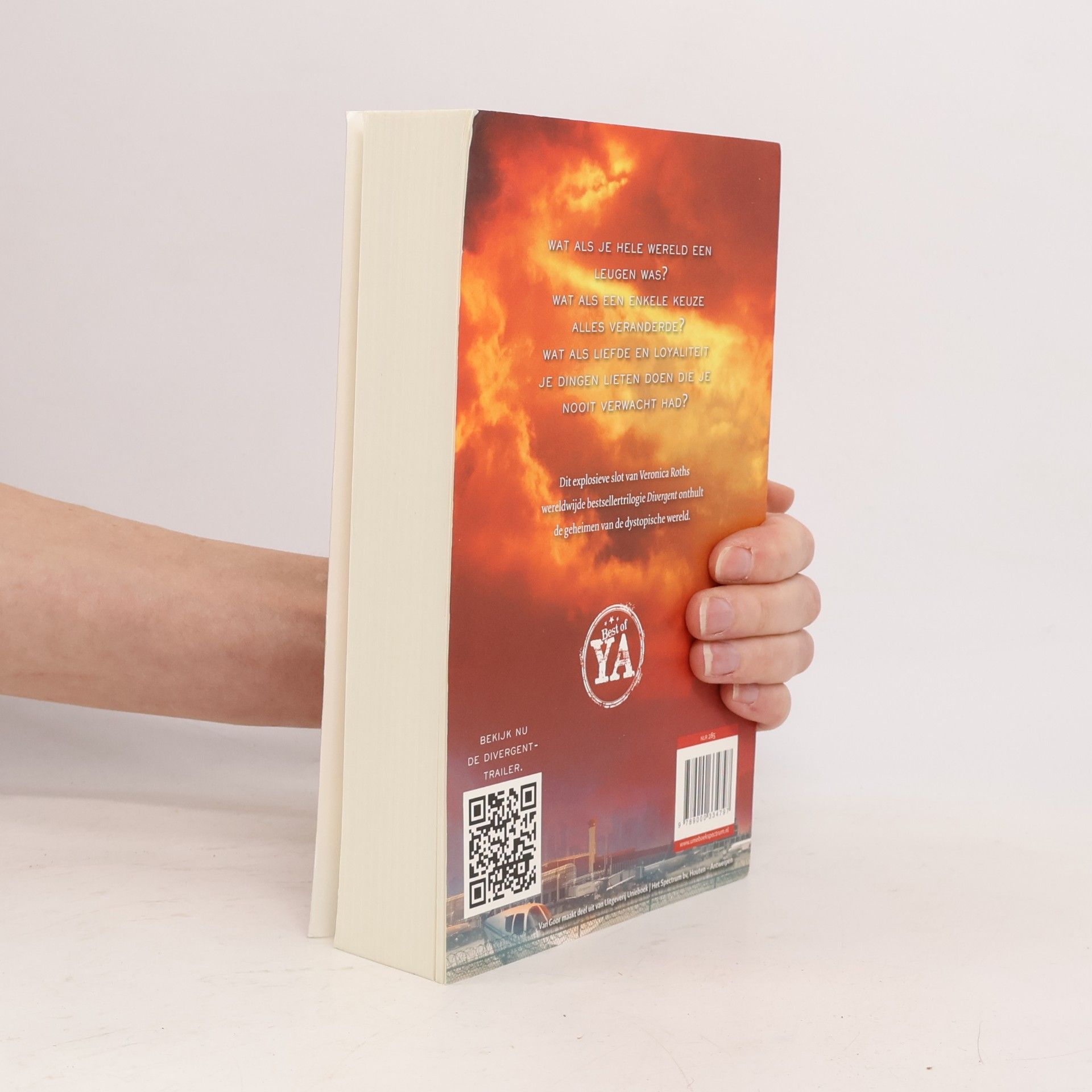 Maria Postema Divergent - 3: Samensmelting