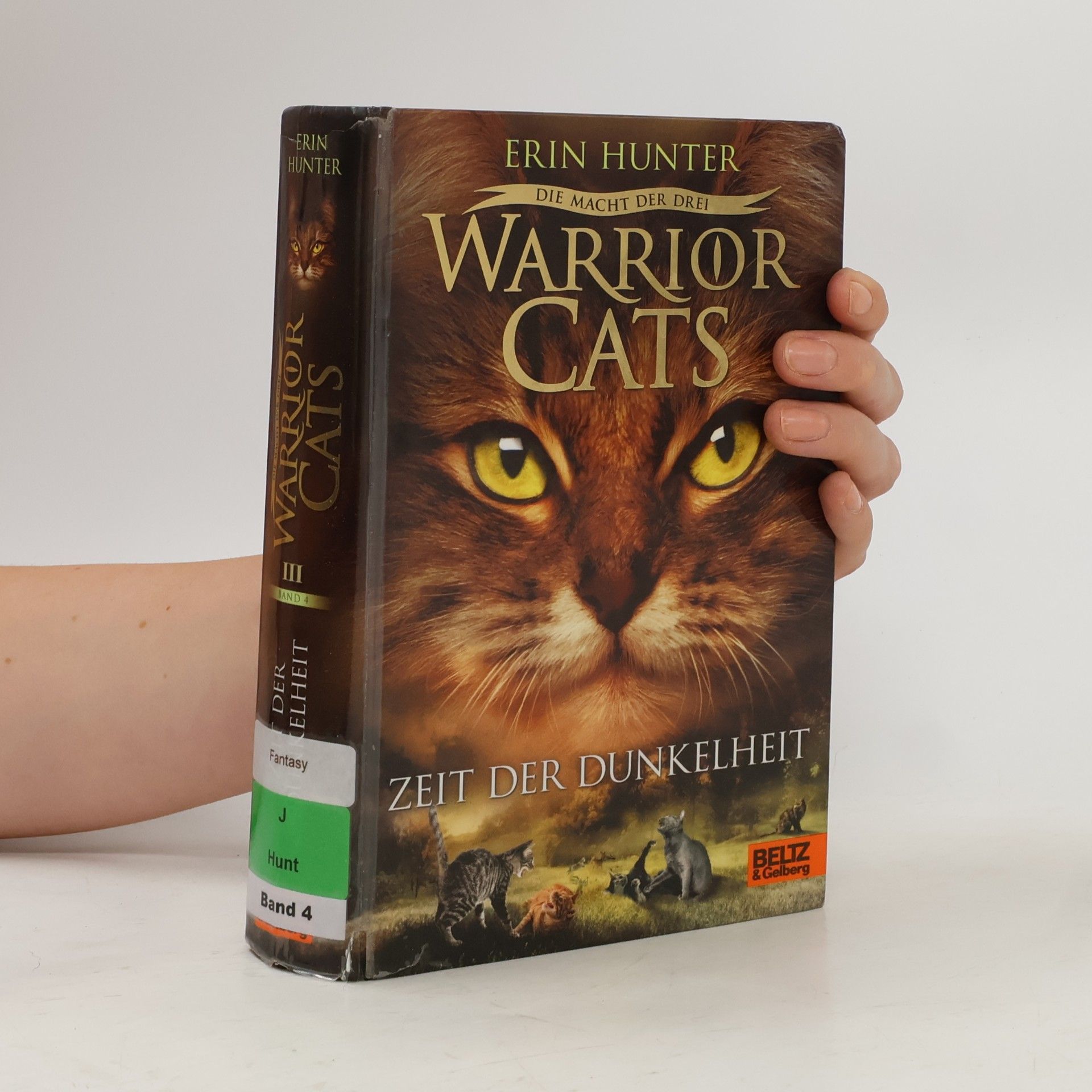 Erin Hunter Warrior Cats - Die Macht der drei. Zeit der Dunkelheit III. Band 4