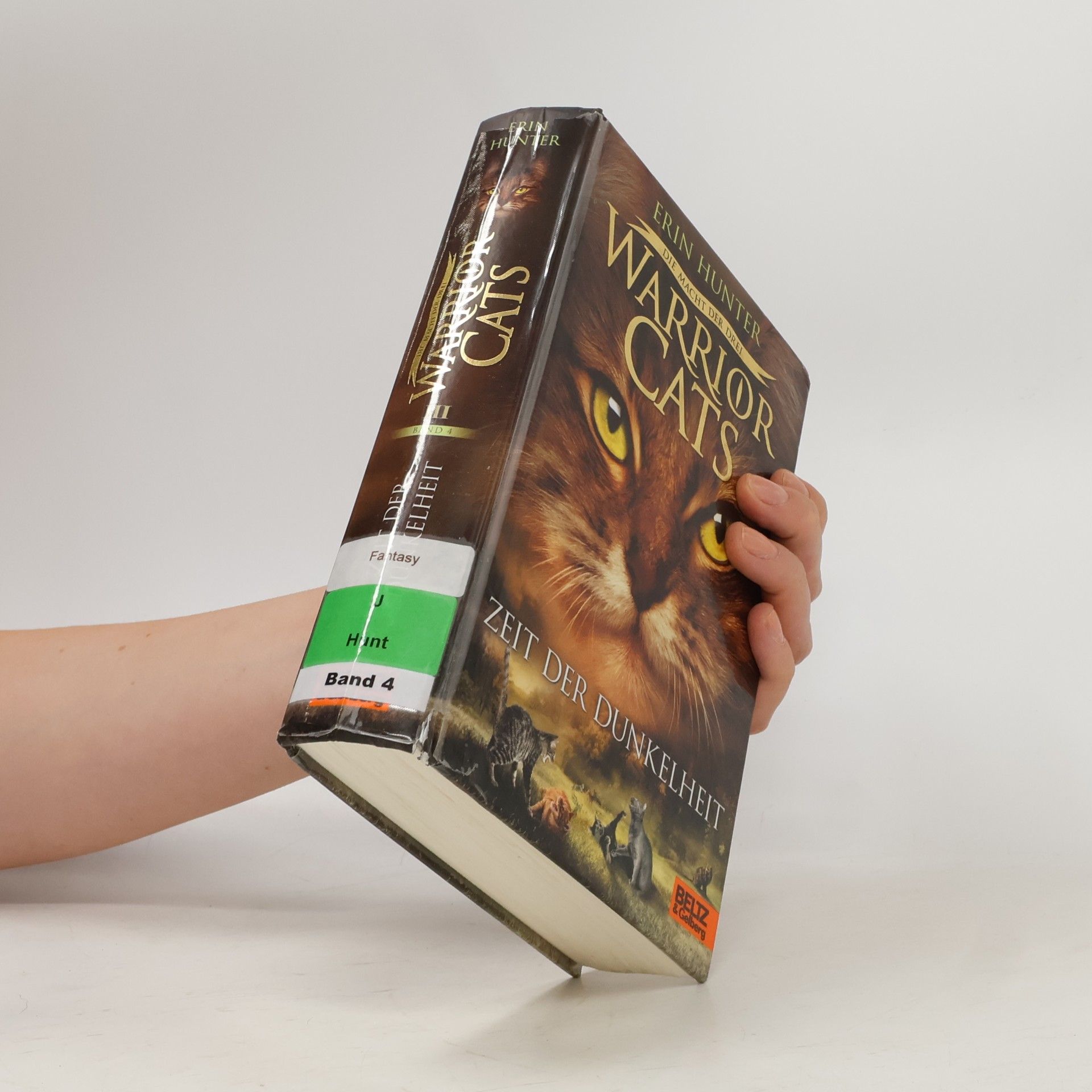 Erin Hunter Warrior Cats - Die Macht der drei. Zeit der Dunkelheit III. Band 4