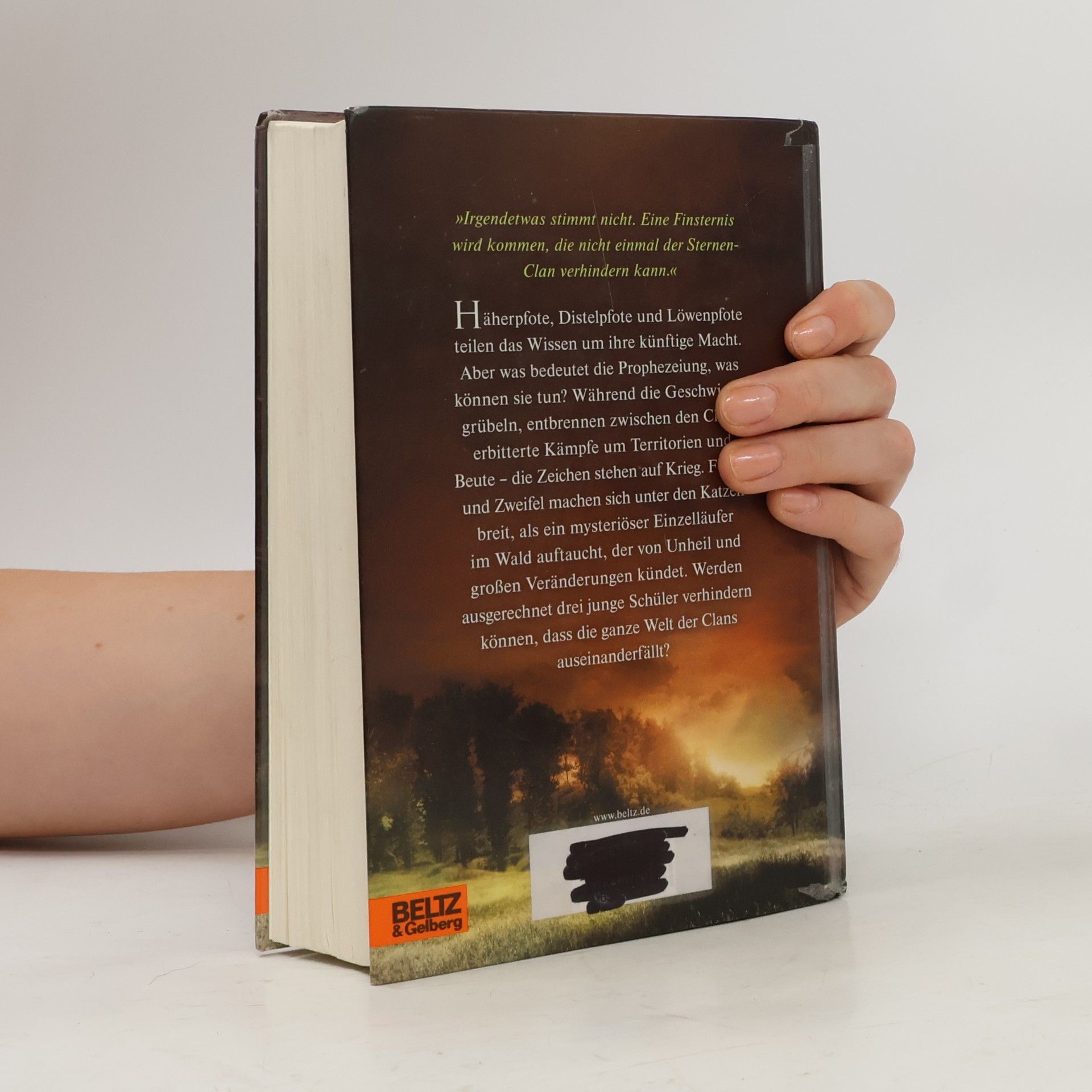 Erin Hunter Warrior Cats - Die Macht der drei. Zeit der Dunkelheit III. Band 4