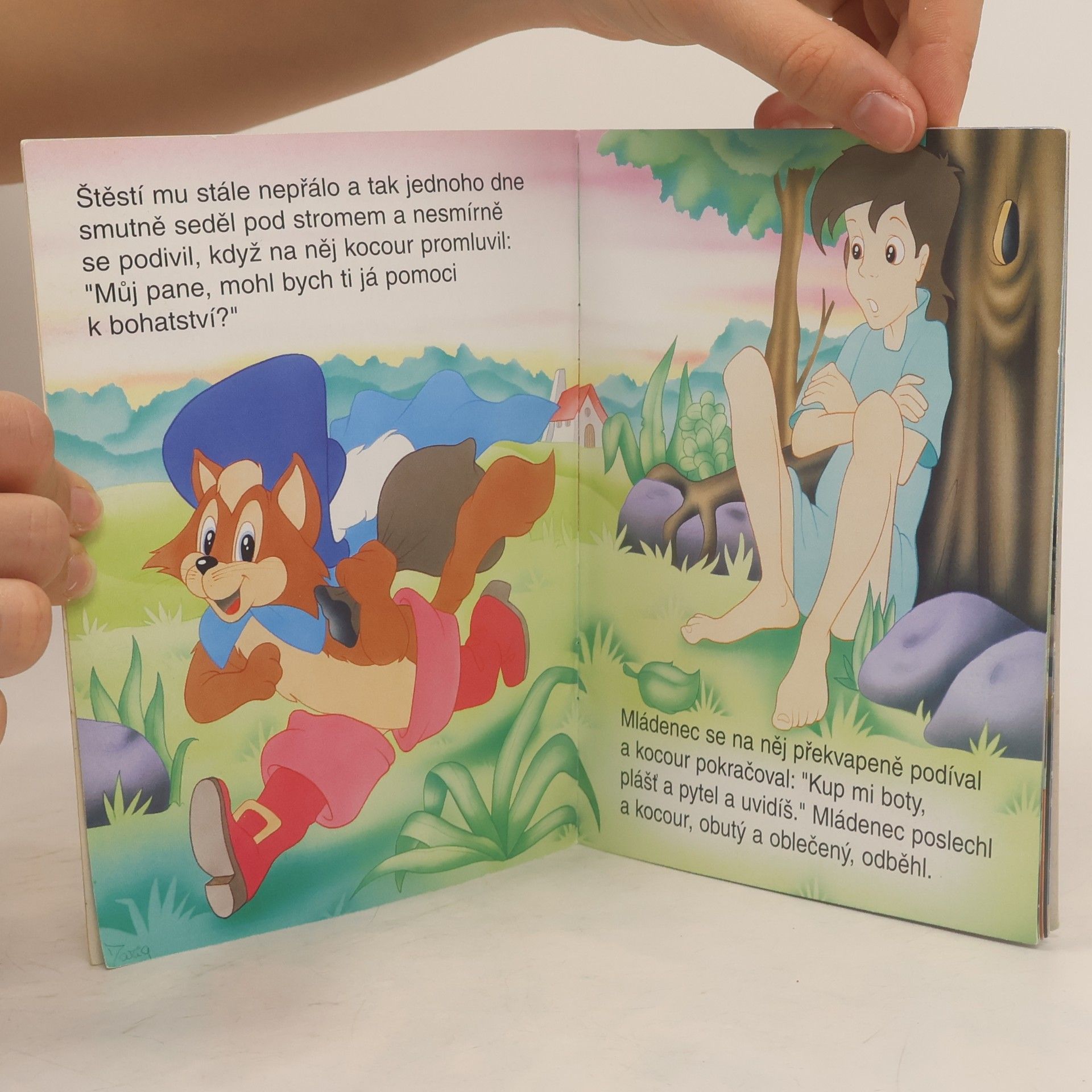 Kolektiv autorů Království pohádek. Kocour v botách
