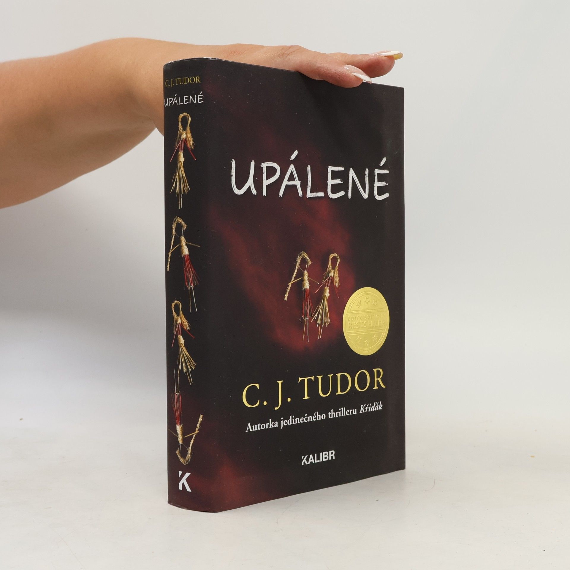 C. J. Tudor Upálené