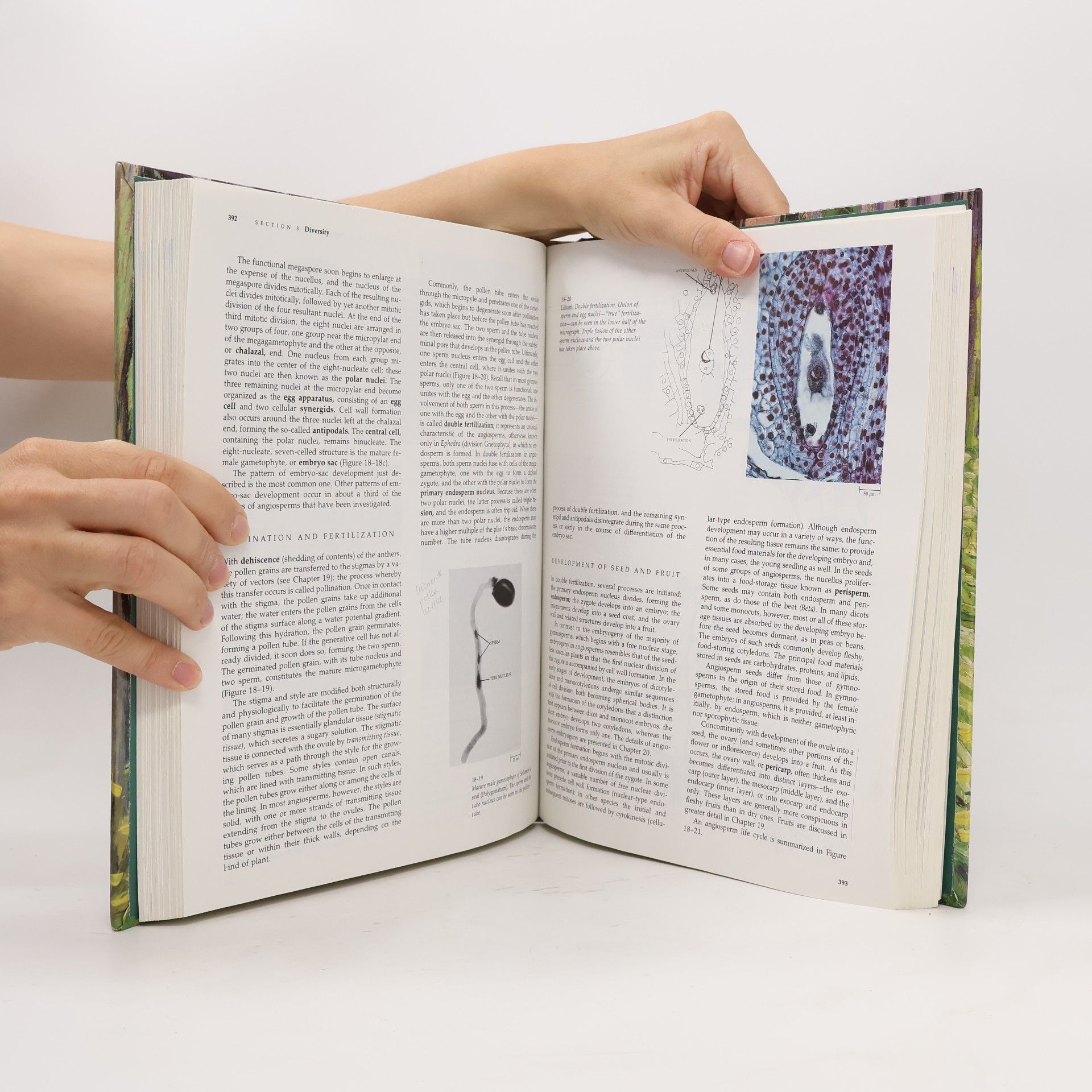 Peter H. Raven Biology of Plants