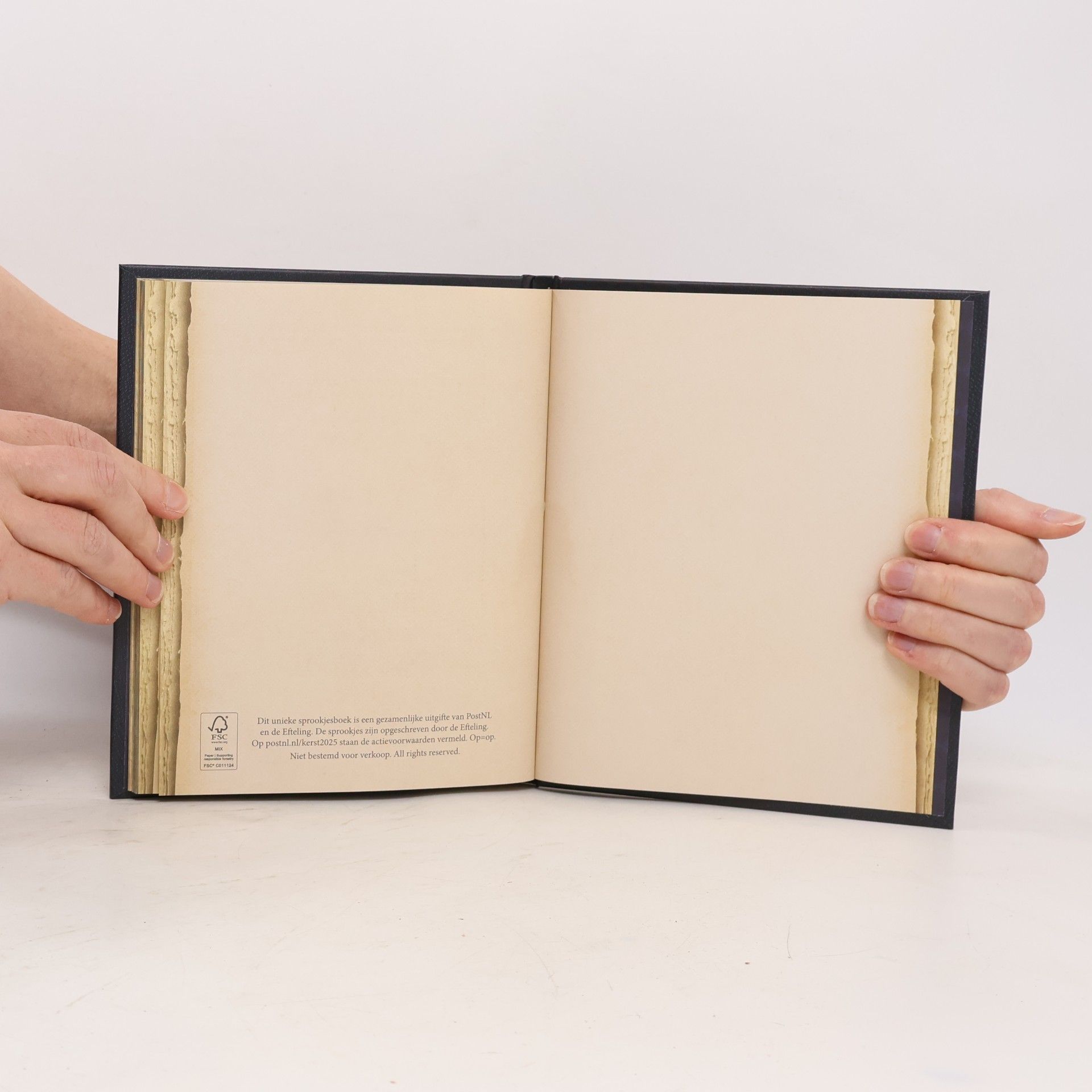 Sander de Bruijn Sprookjesboek vol decemberzegels