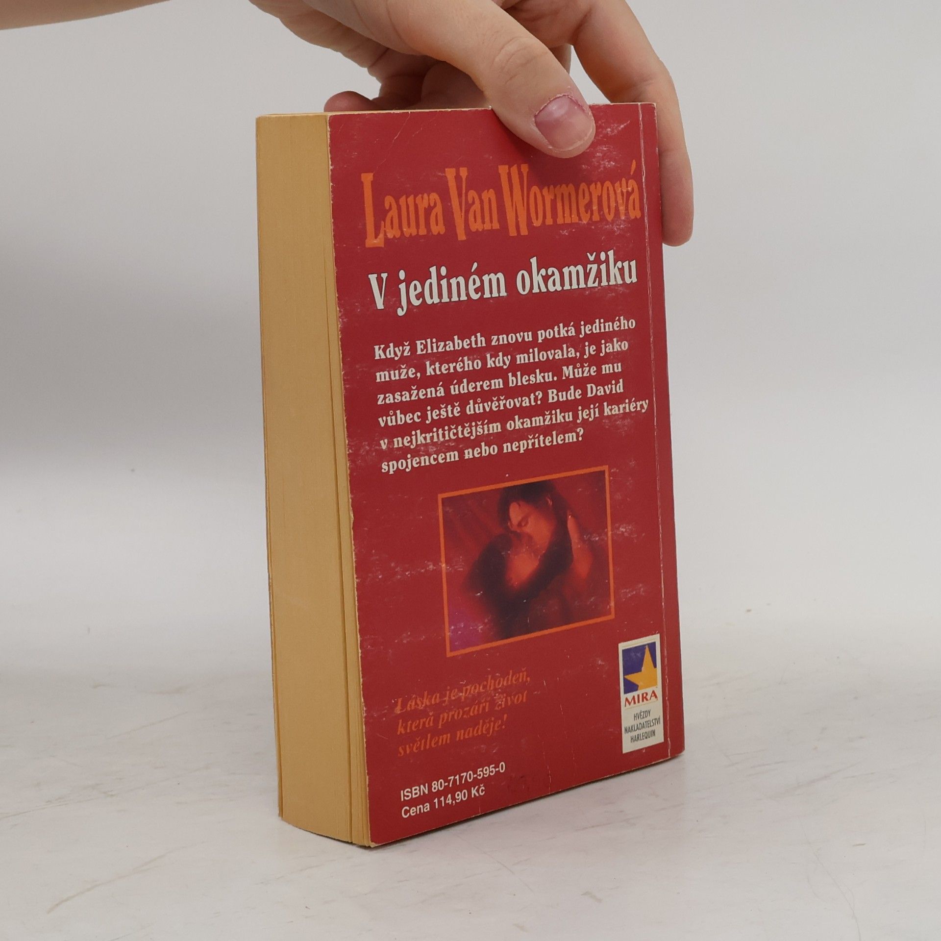 Laura van Wormer V jediném okamžiku