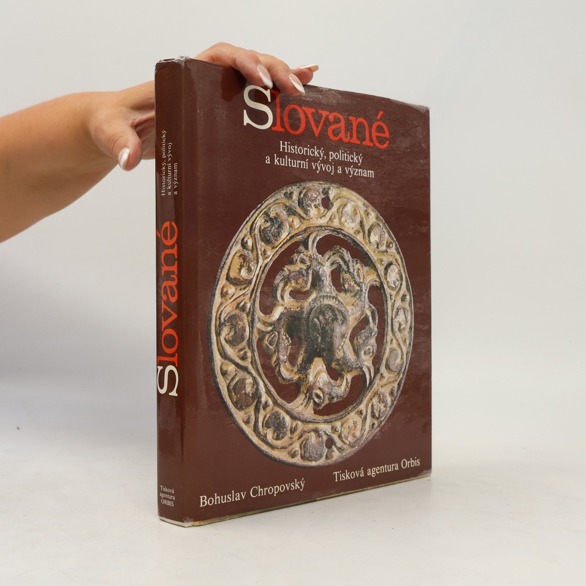 Slované. Historický, politický a kulturní vývoj a význam