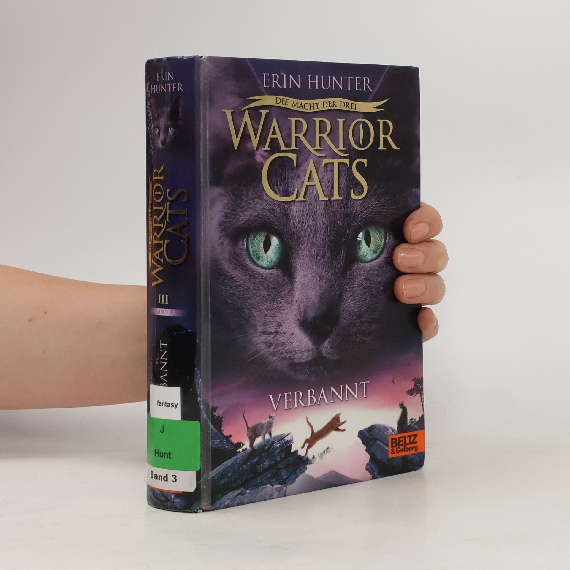 Erin Hunter Warrior Cats: Verbannt