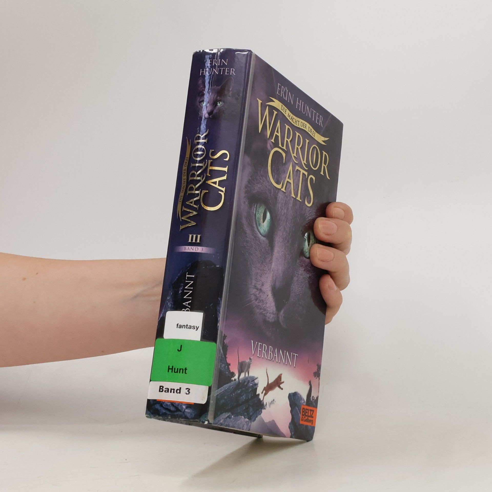 Erin Hunter Warrior Cats: Verbannt