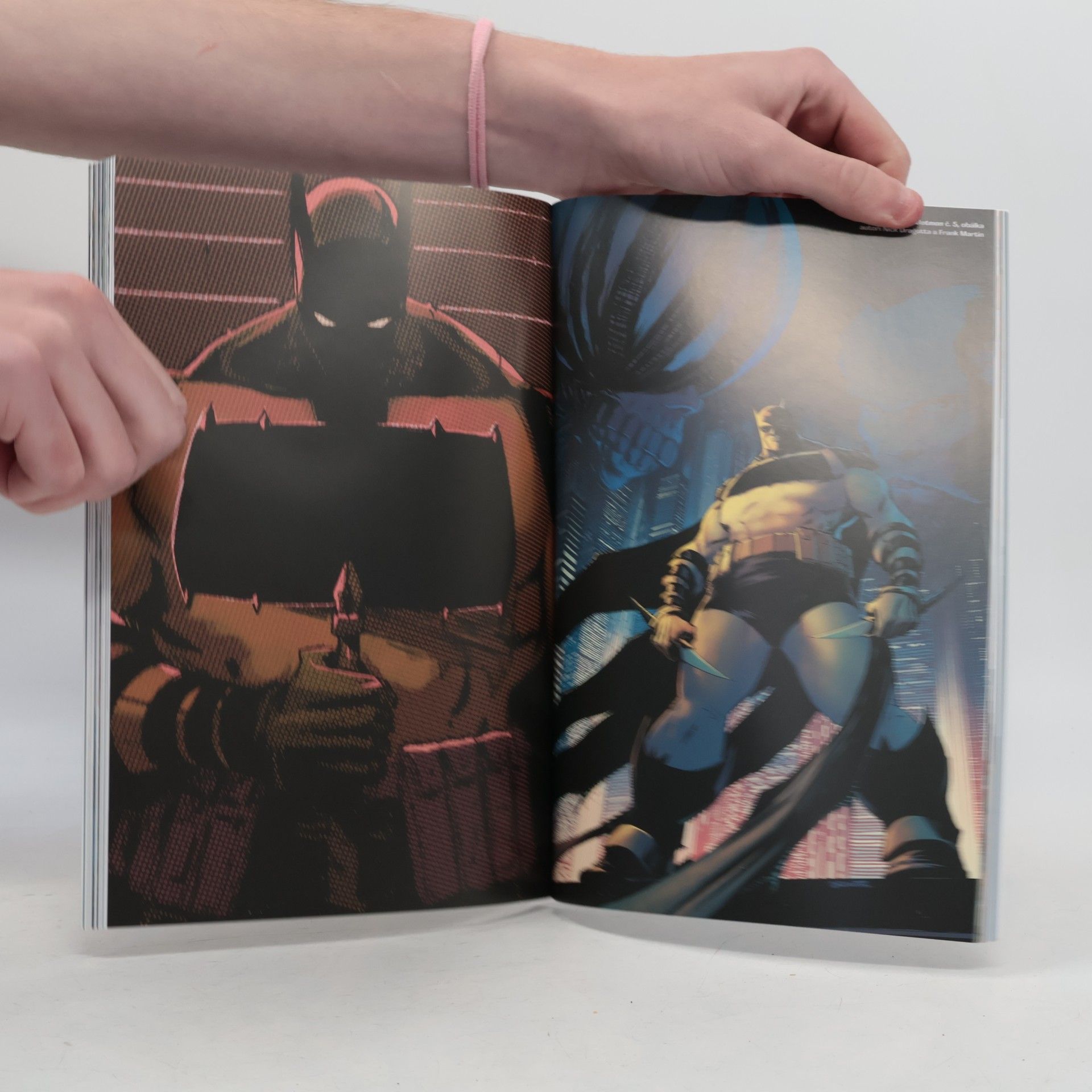 Scott Snyder Absolut Batman 1 - Zoo
