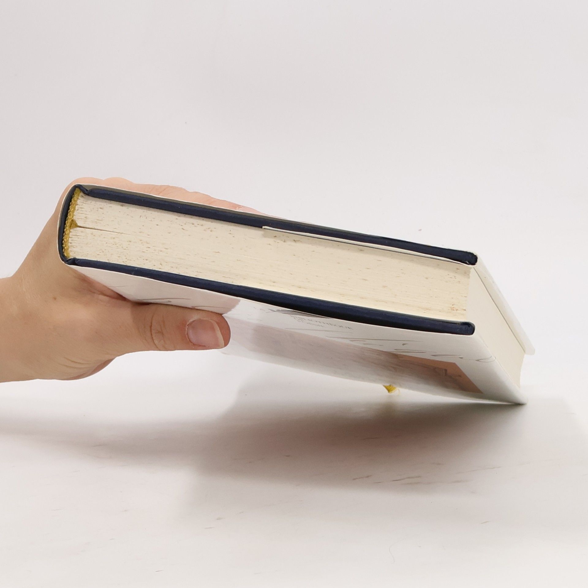 Jean Orizet La Bibliothèque de Poésie - 14: La Poésie Populaire