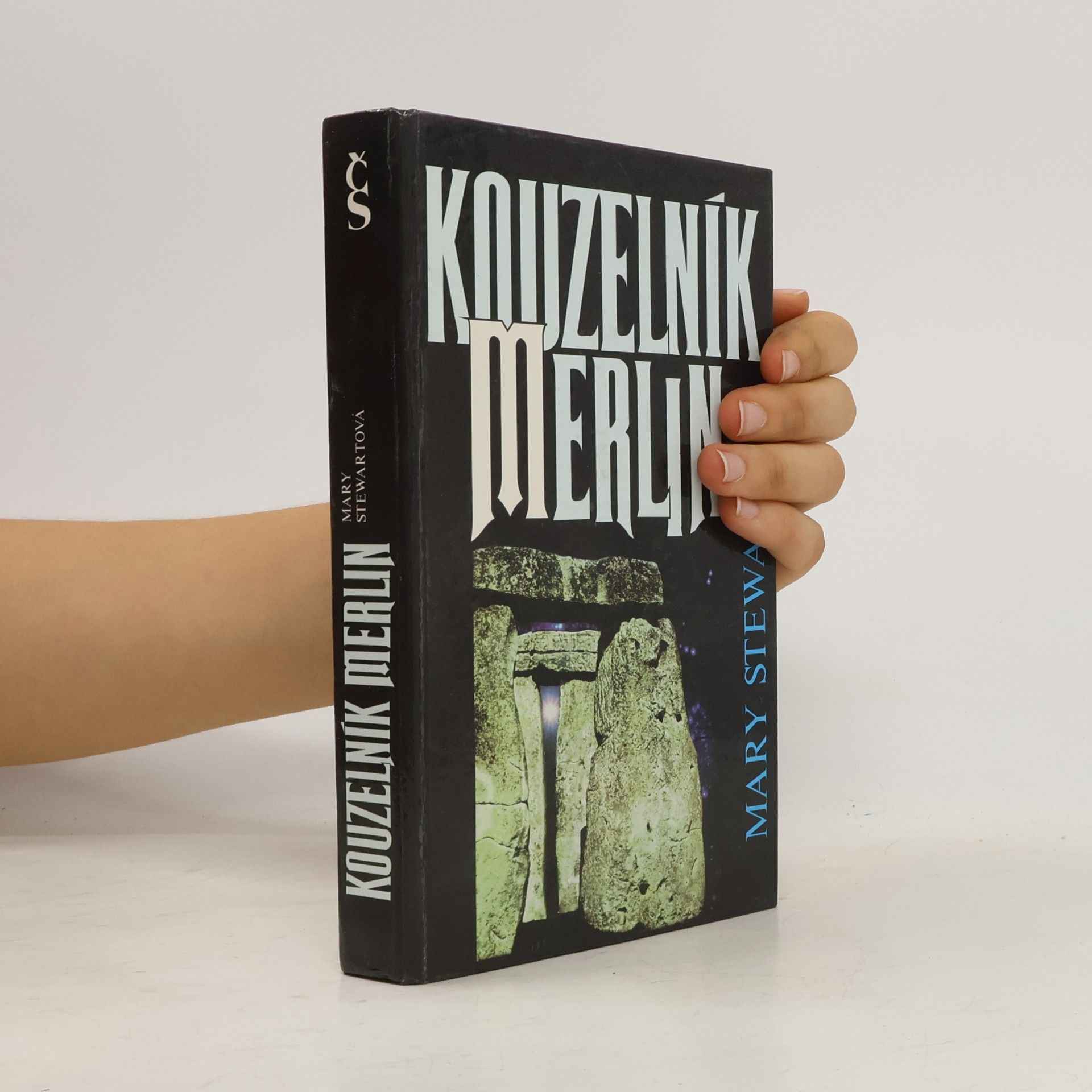 Mary Stewart Kouzelník Merlin