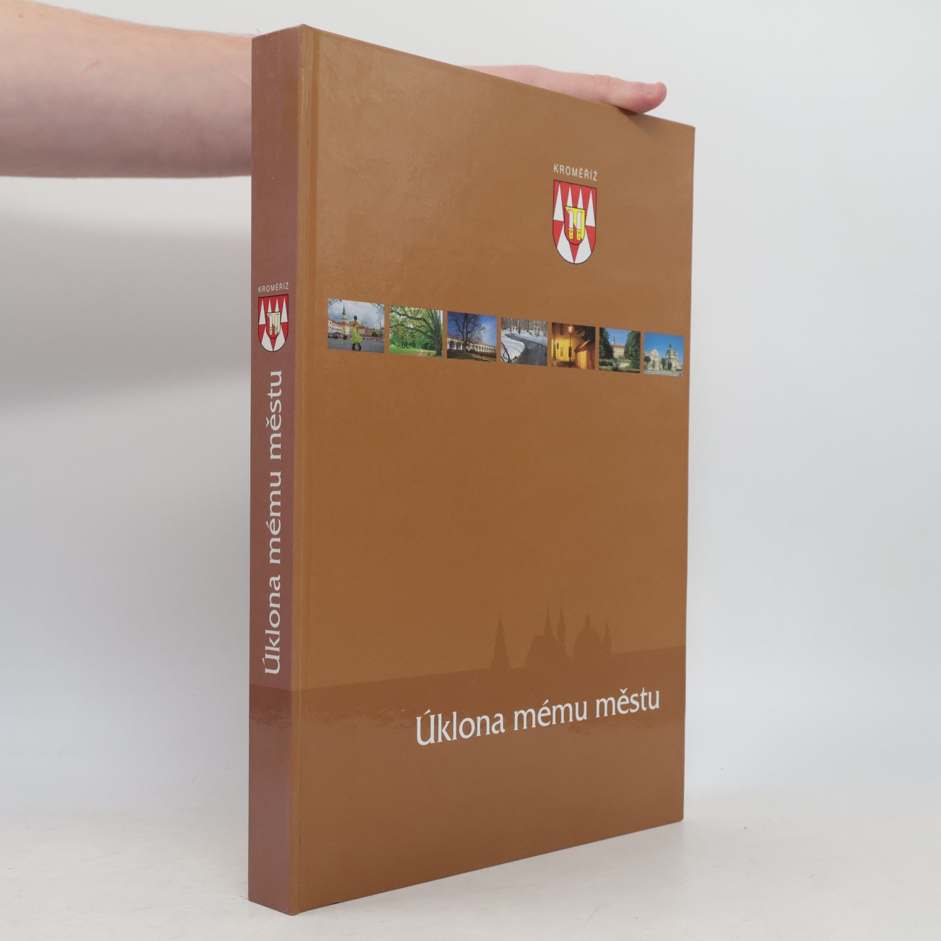 Collectif d'auteurs Úklona mému městu