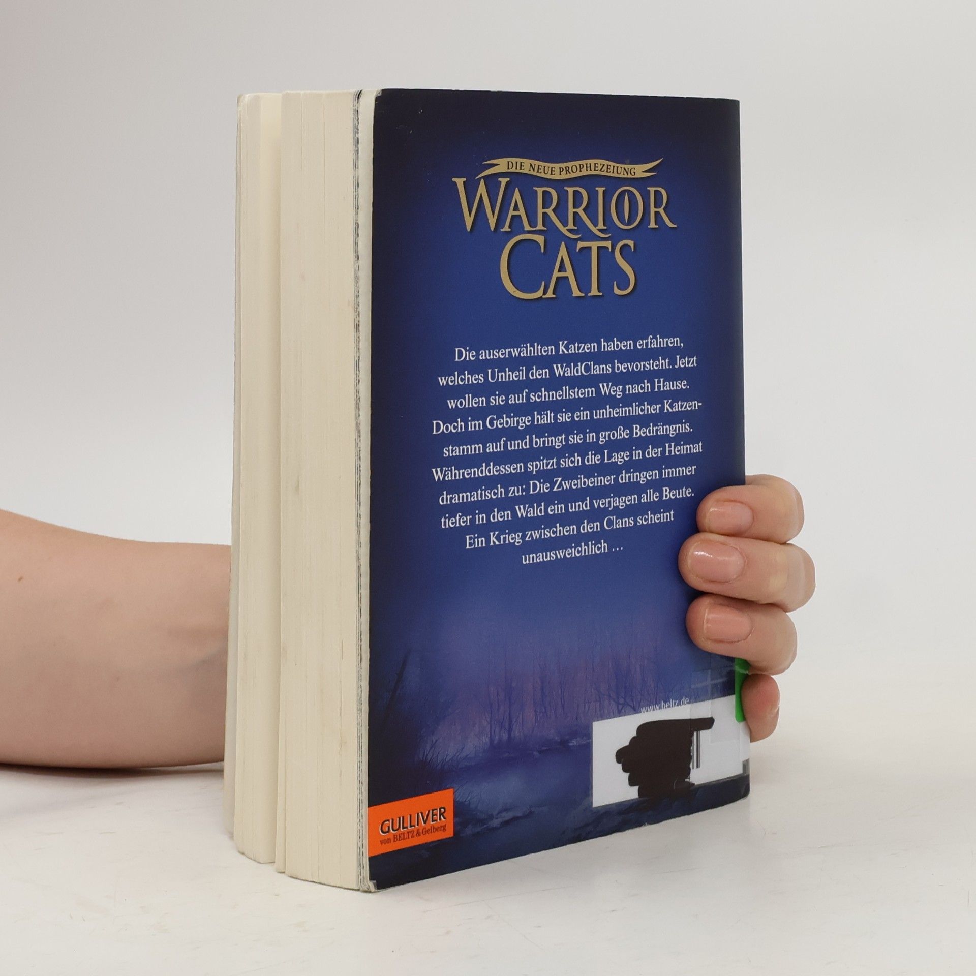Erin Hunter Warrior Cats. Die neue Prophezeiung (Band 2). Mondschein
