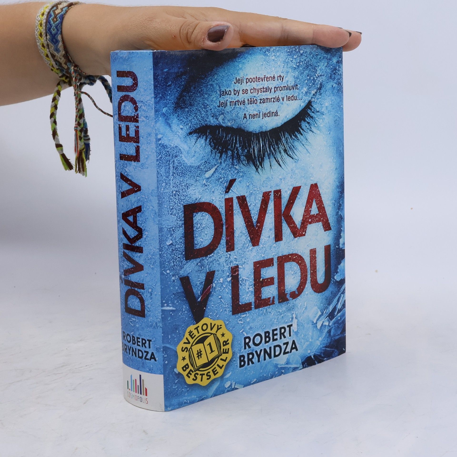 Robert Bryndza Dívka v ledu