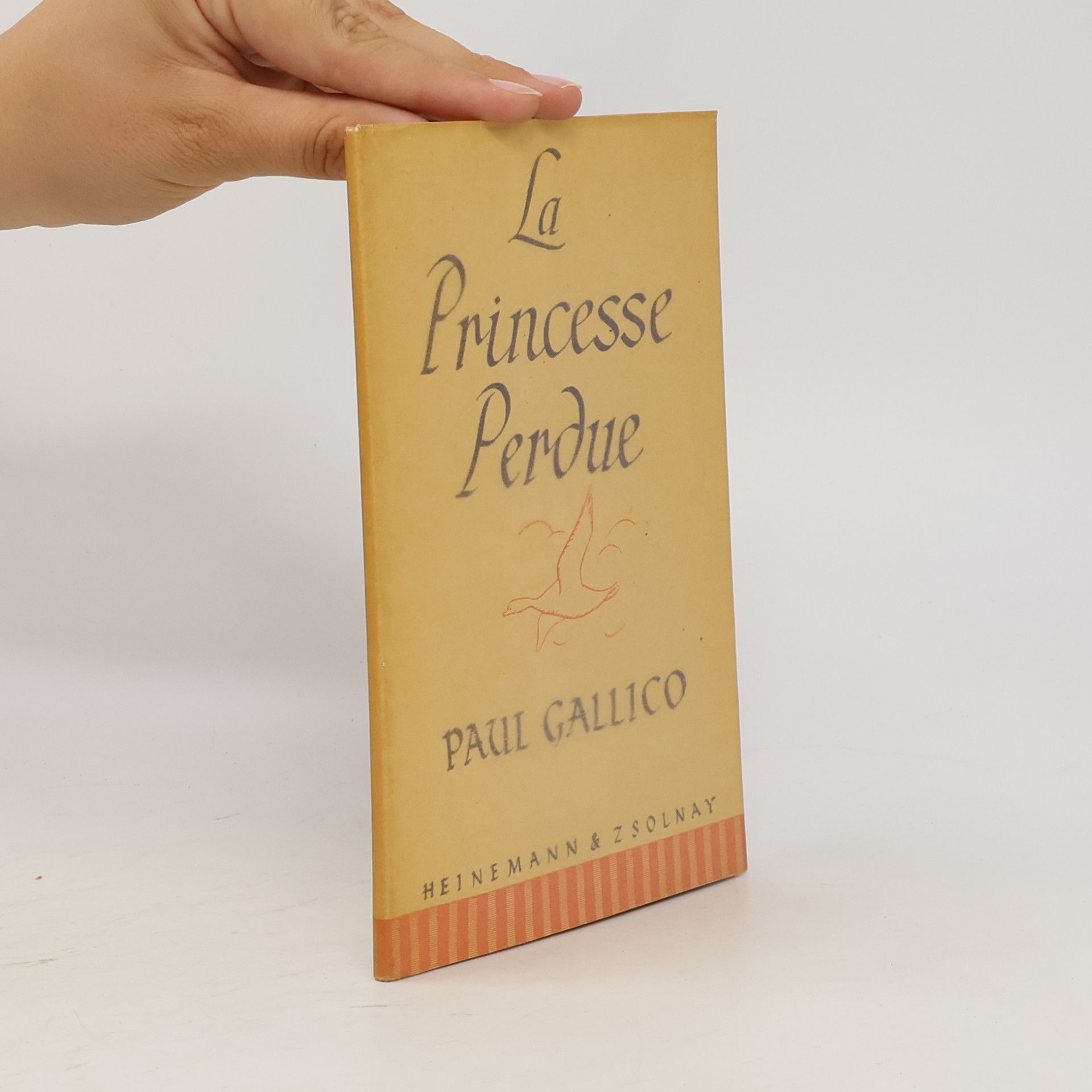 La Princesse Perdue