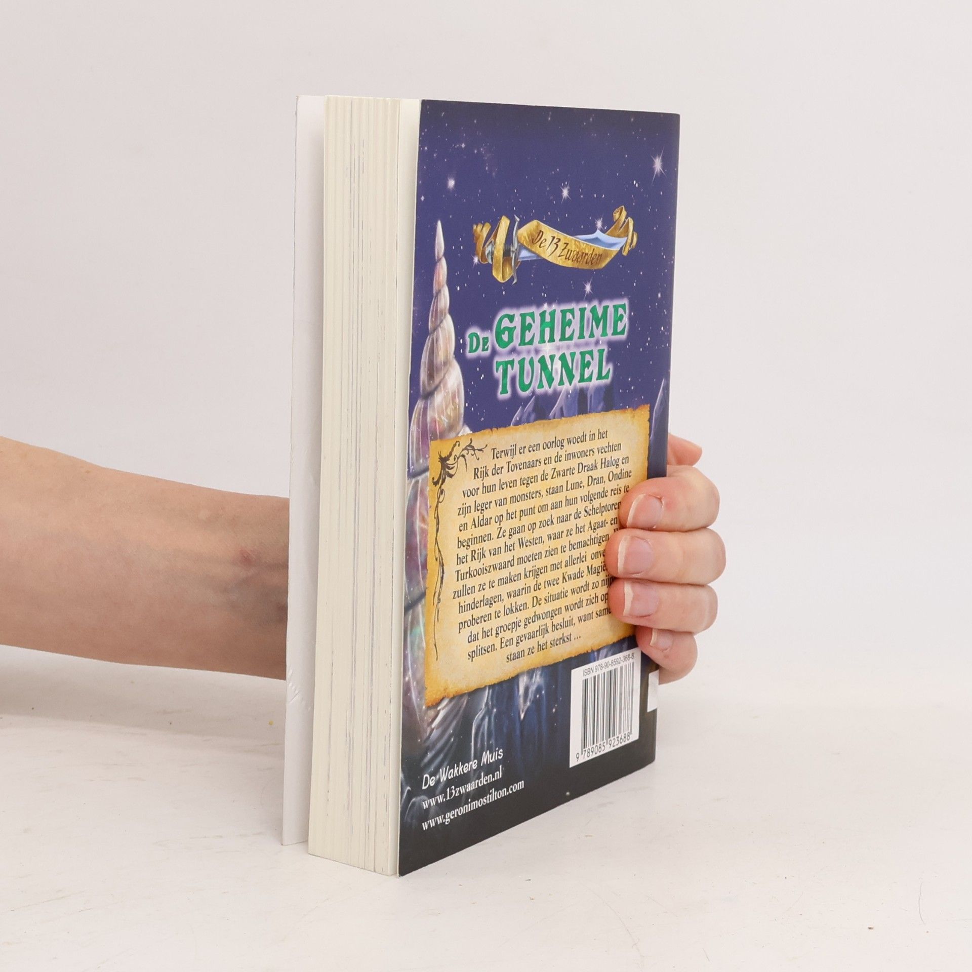 Geronimo Stilton De Geheime Tunnel