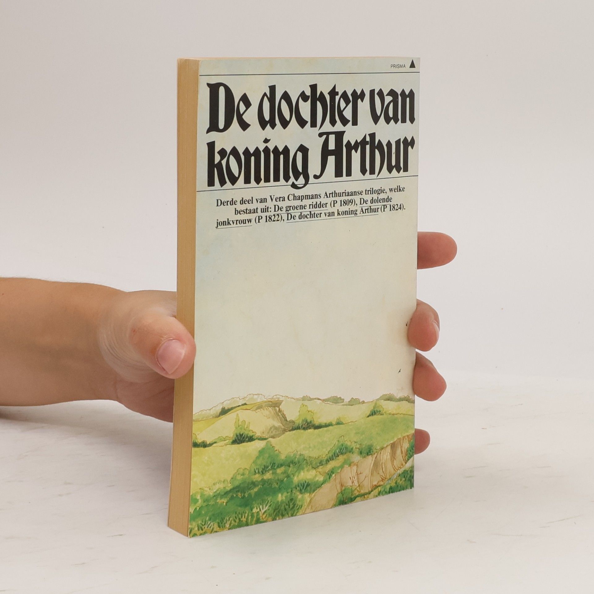 Arthuriaanse Trilogie 3: De Dochter van Koning Arthur