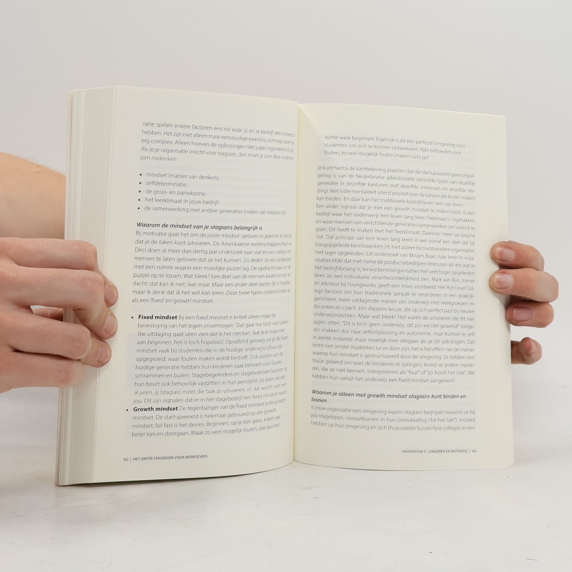 Maarten Brands Het grote stageboek voor werkgevers