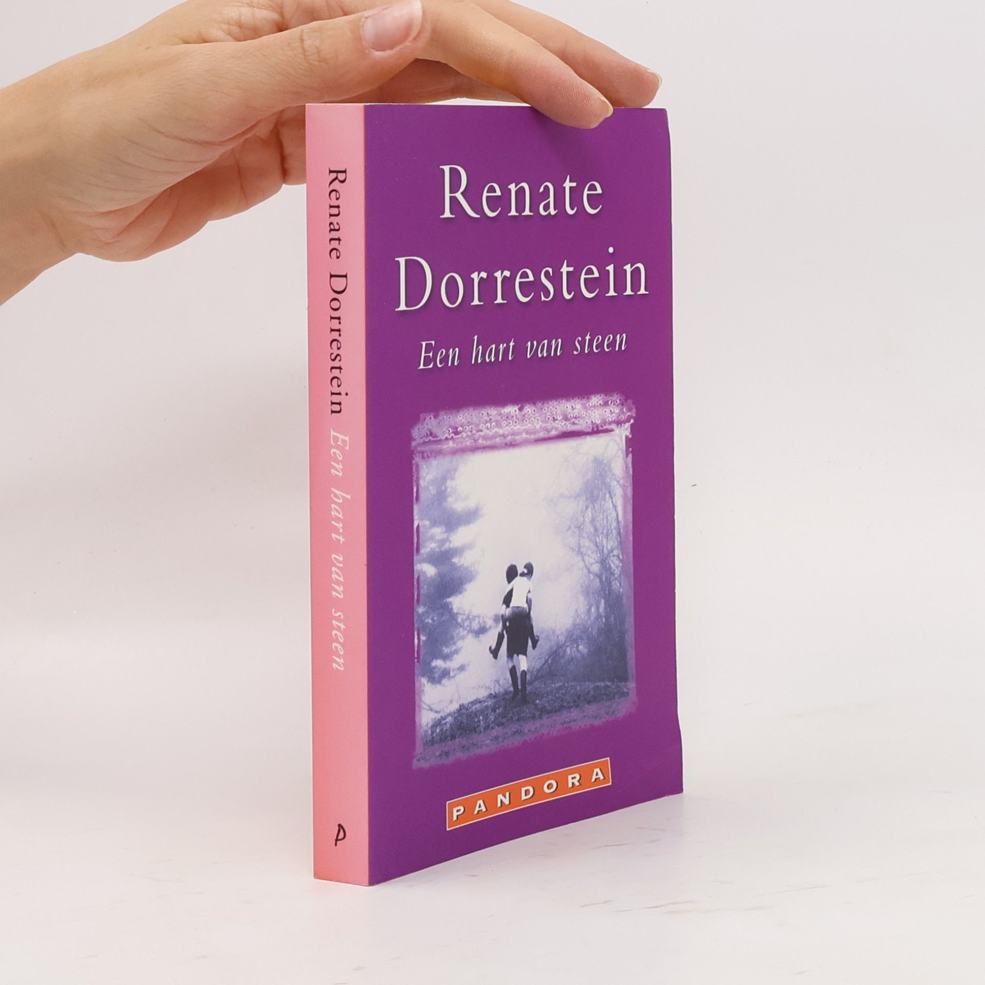 Renate Dorrestein Een hart van steen