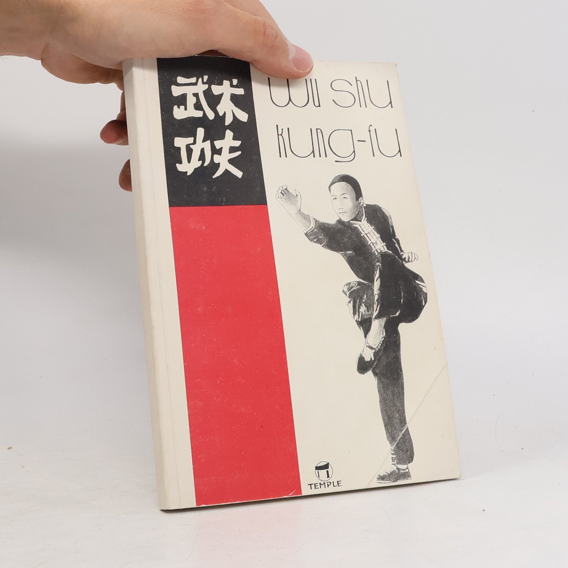 Zdeněk Kurfürst Wu shu kung-fu