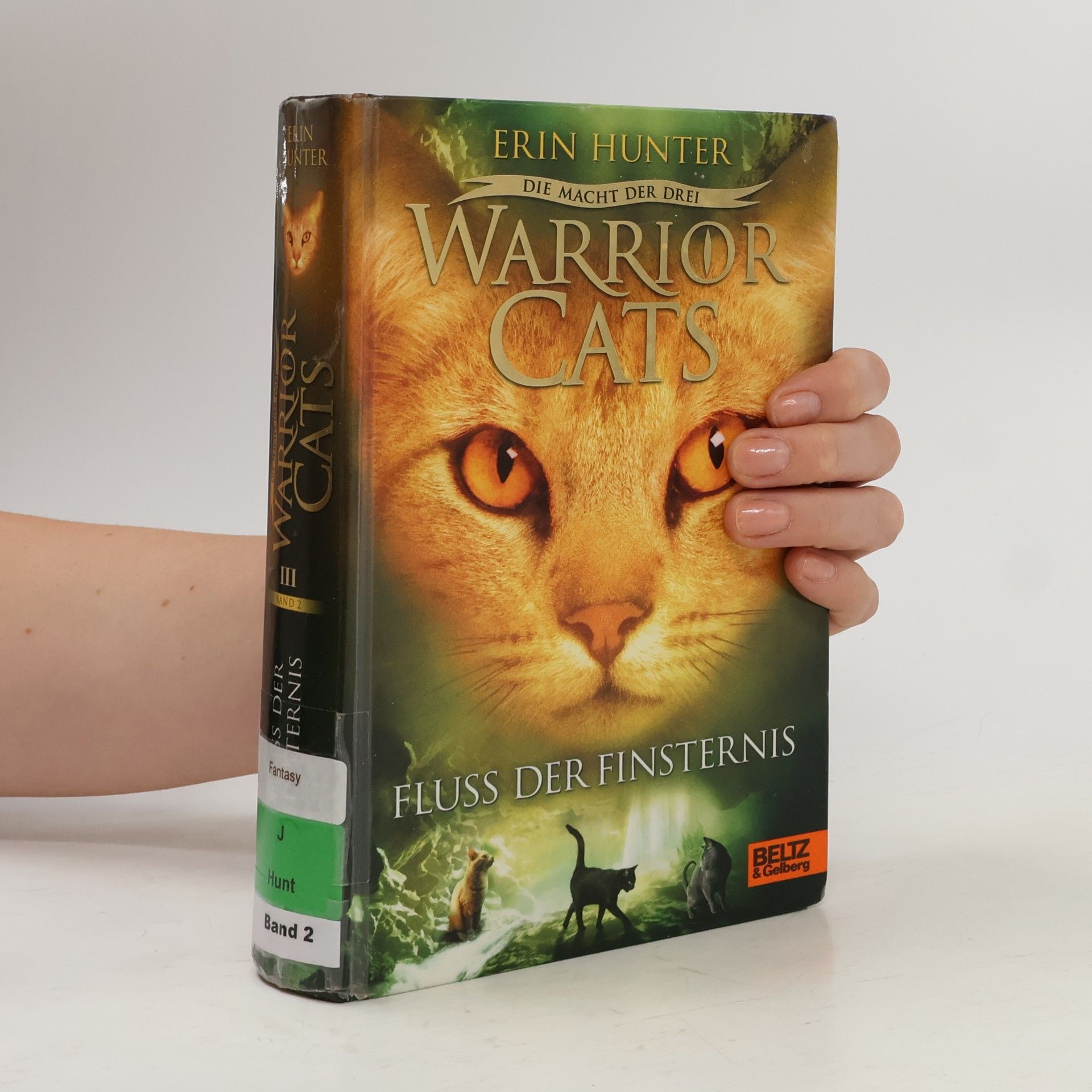 Erin Hunter Warrior Cats. Fluss der Finsternis