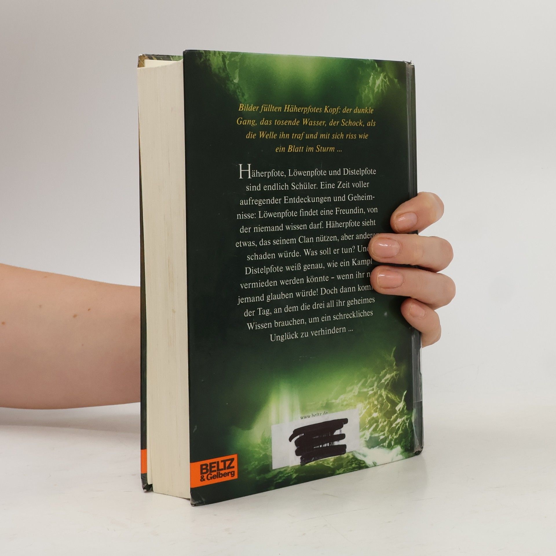 Erin Hunter Warrior Cats. Fluss der Finsternis