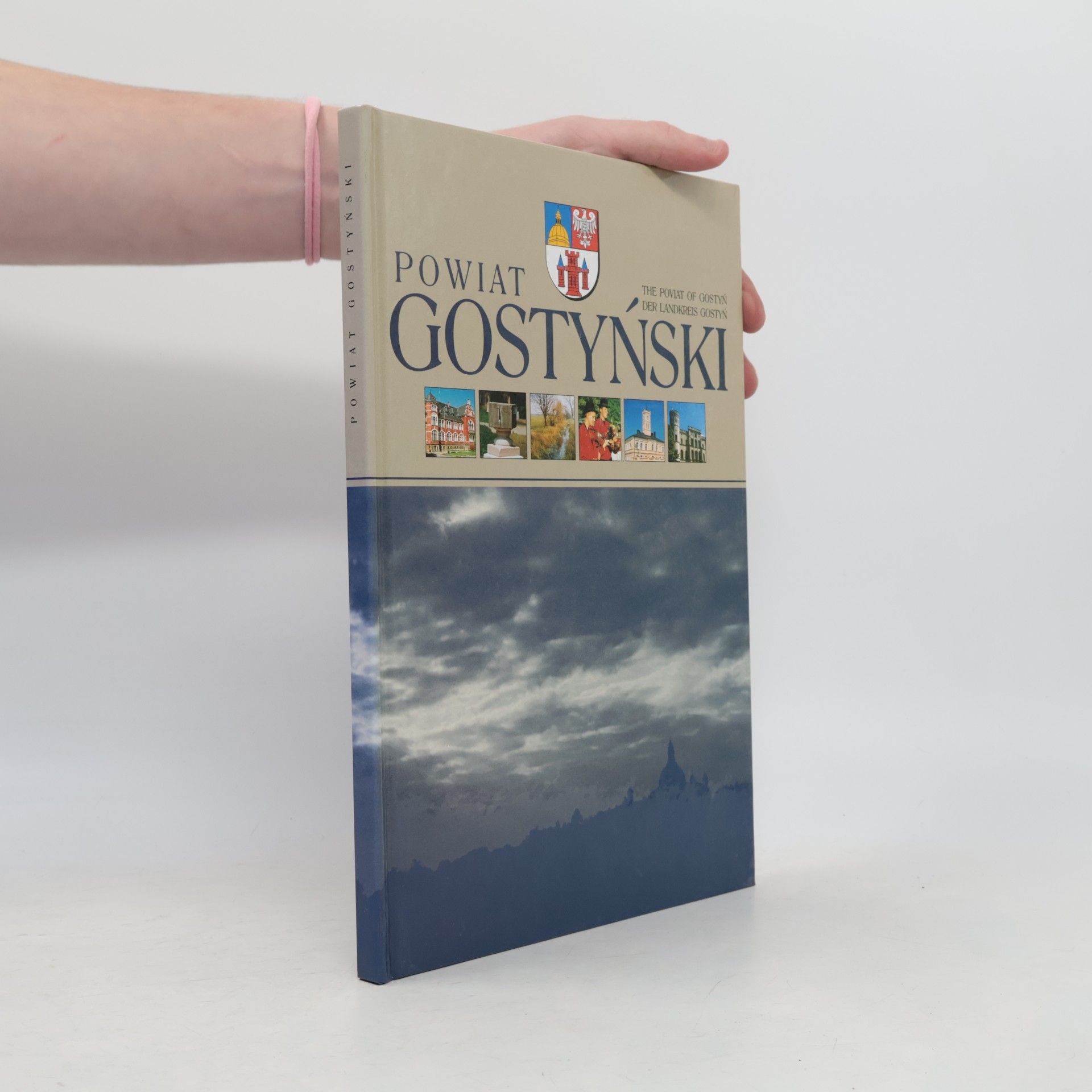 Powiat Gostyński